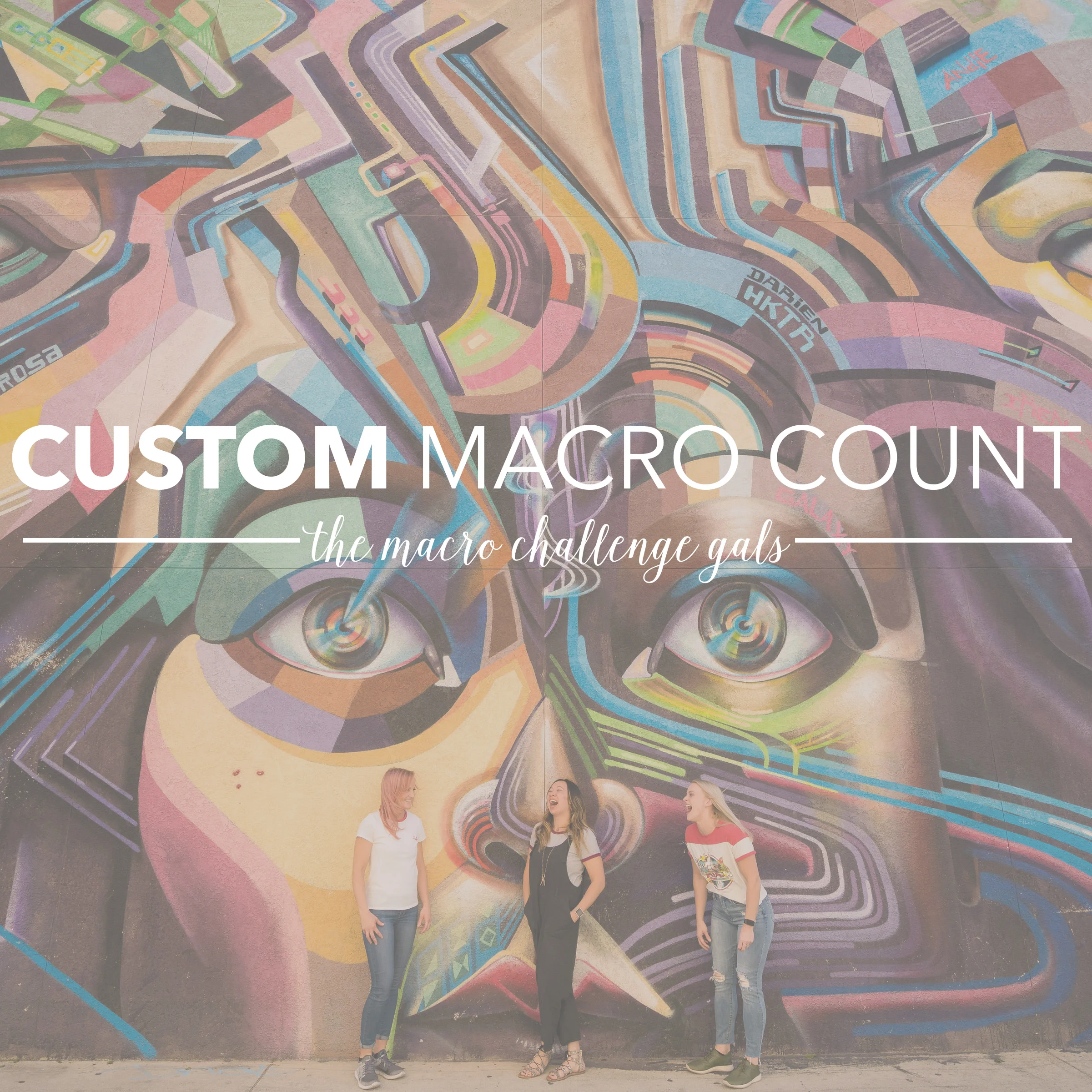 custom macro count cover.jpg