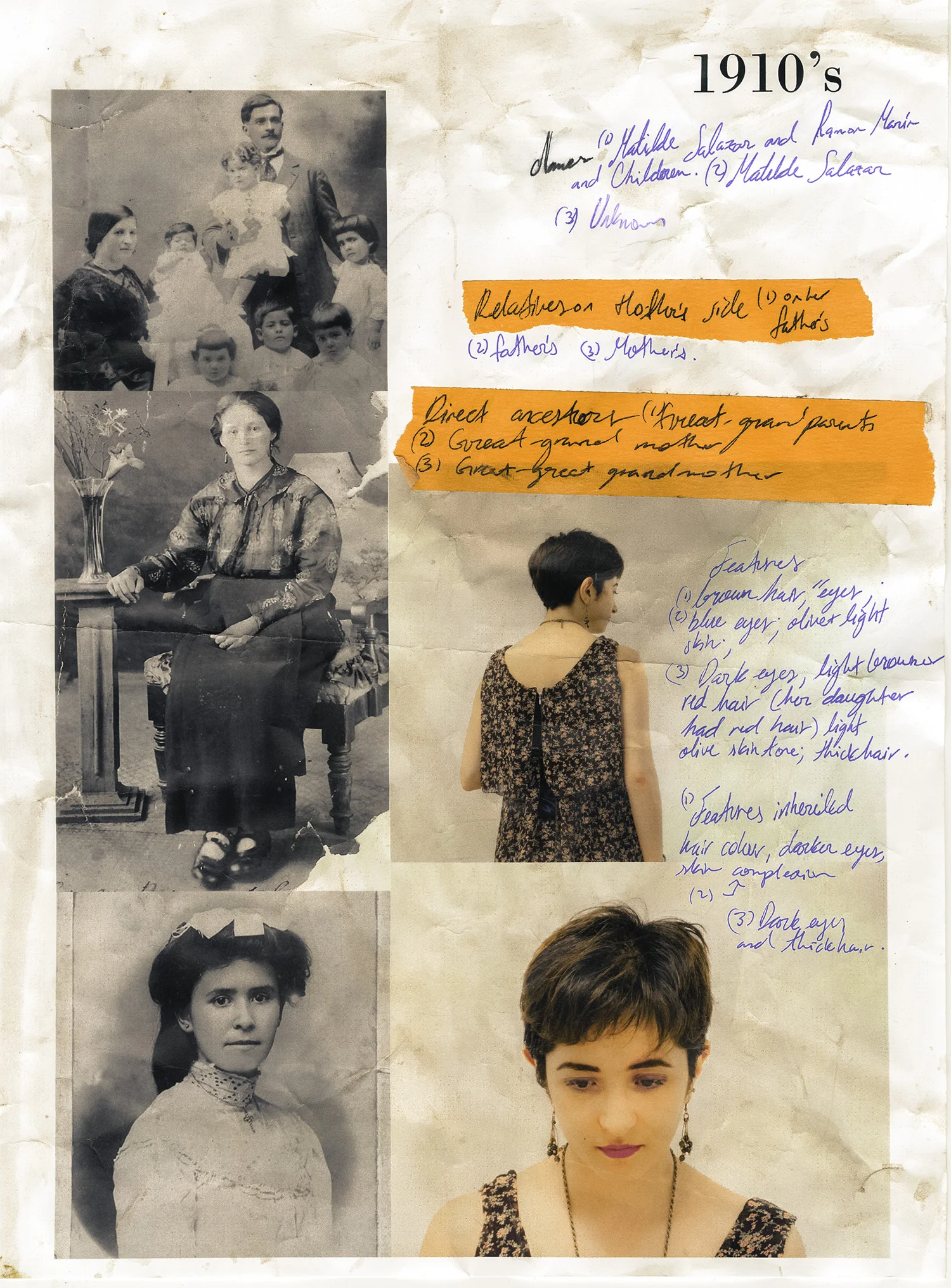 FINALSCONCEPTANCESTORS (2 of 8).jpg