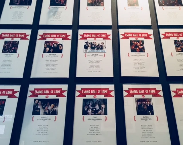 The Wall Of Fame for DCH house teams.