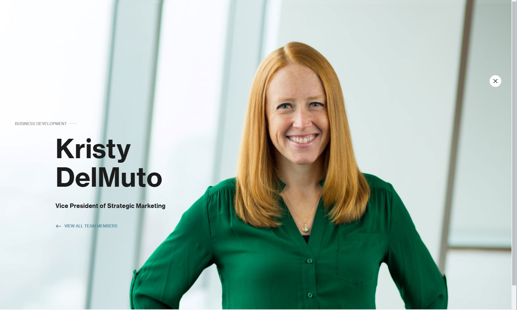 Kristy DelMuto, Vice President of Marketing at LLR Partner