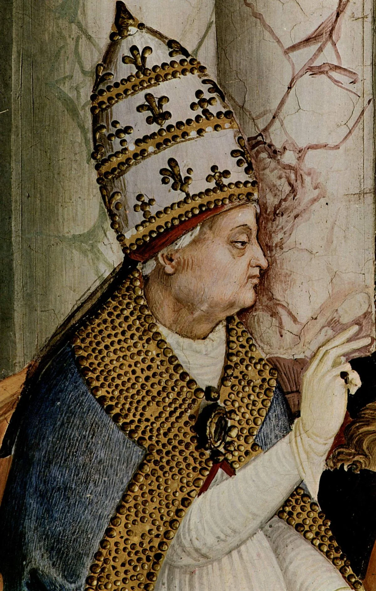 Enea seen here making quite the Bulgia Pope