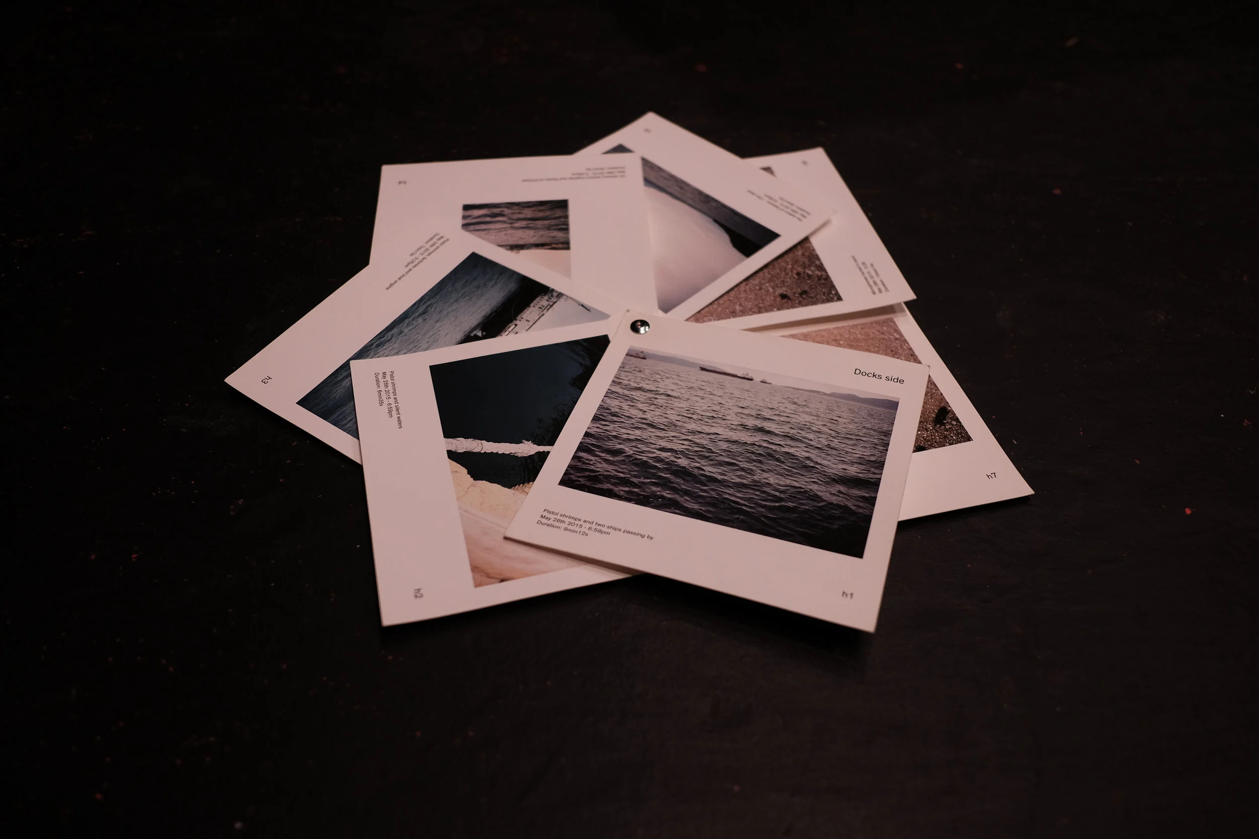 All photos by Jessica Lutz, 2018.
