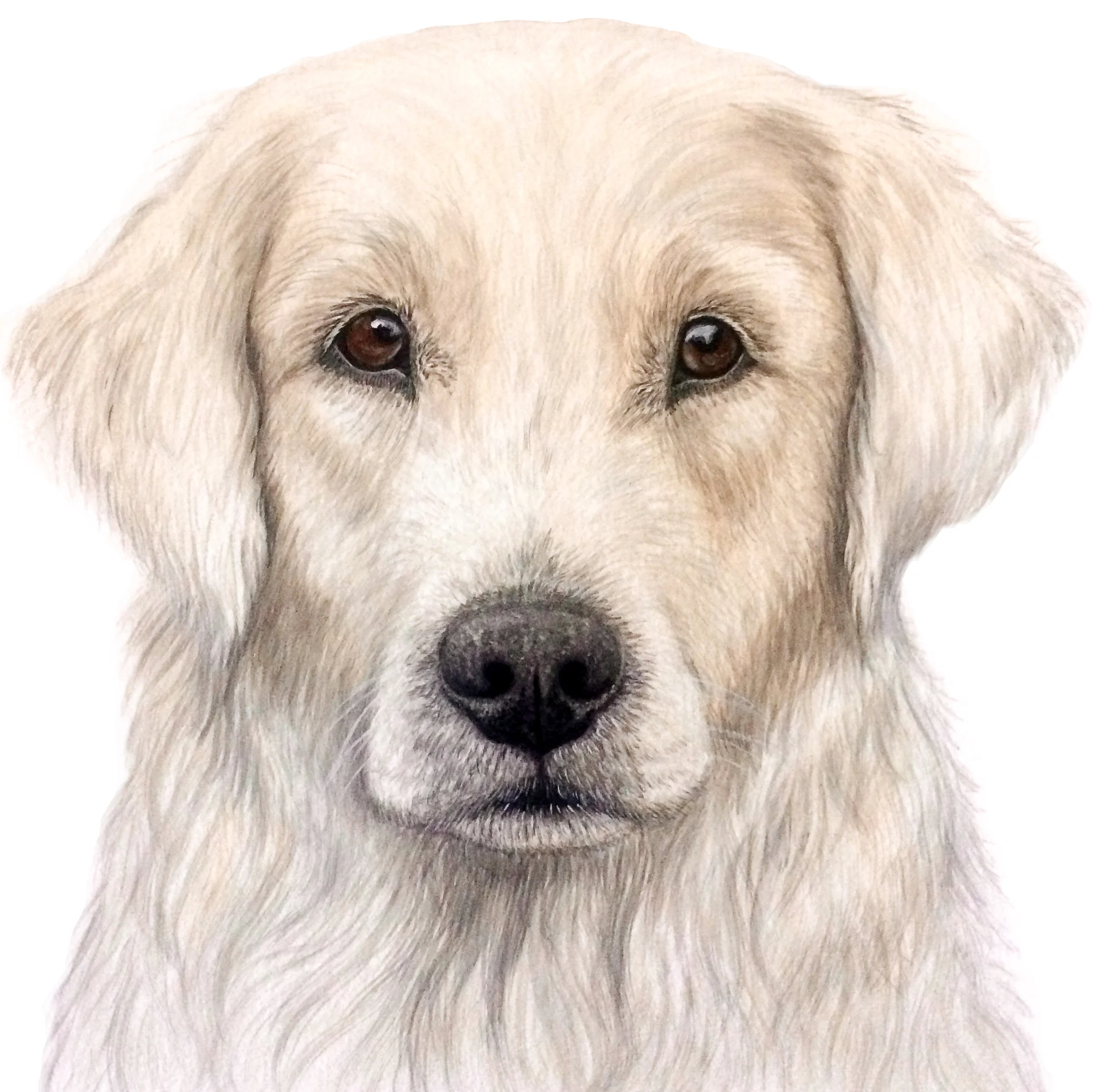 Maggie - Commission