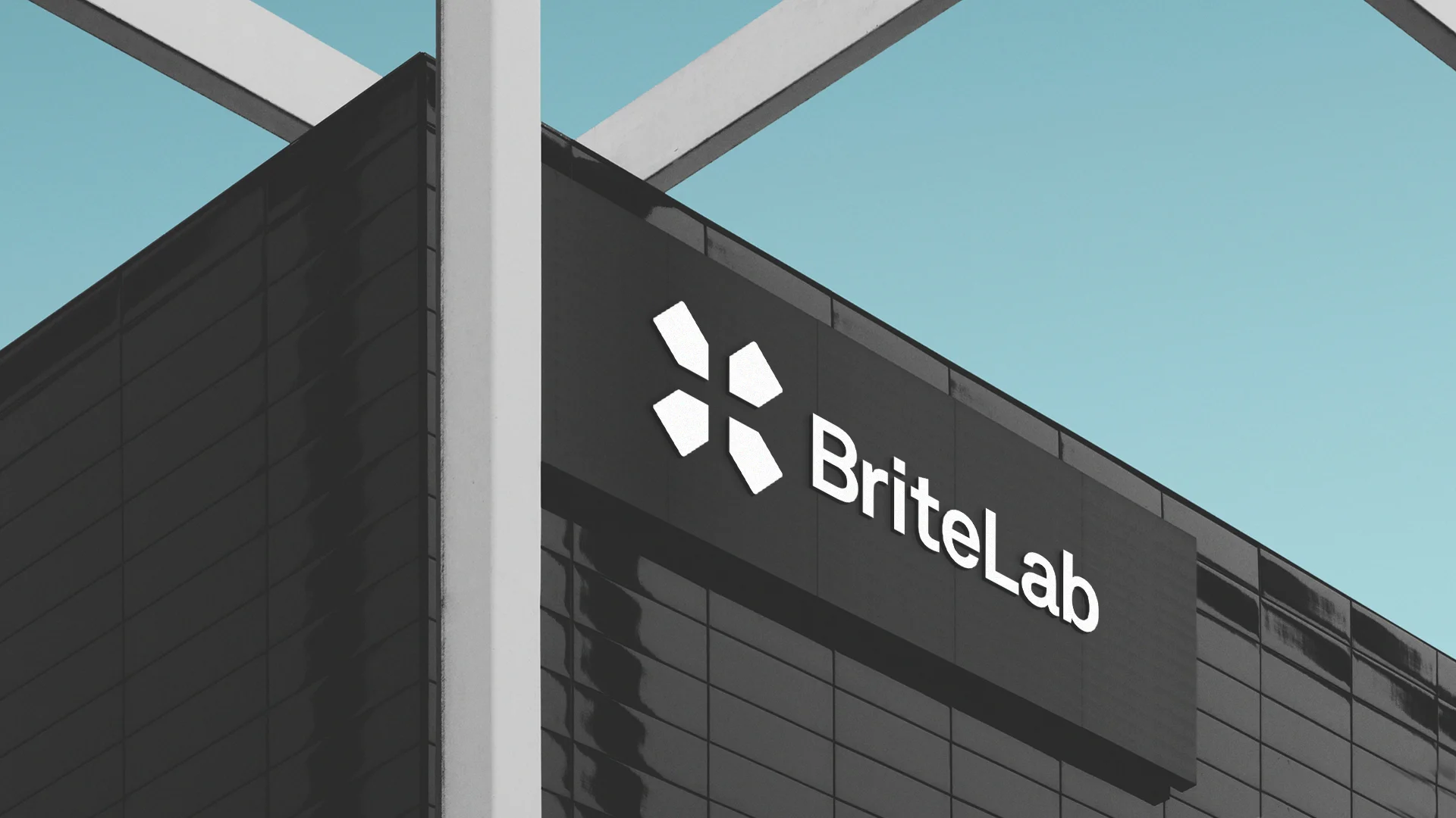 britelab_13.jpg