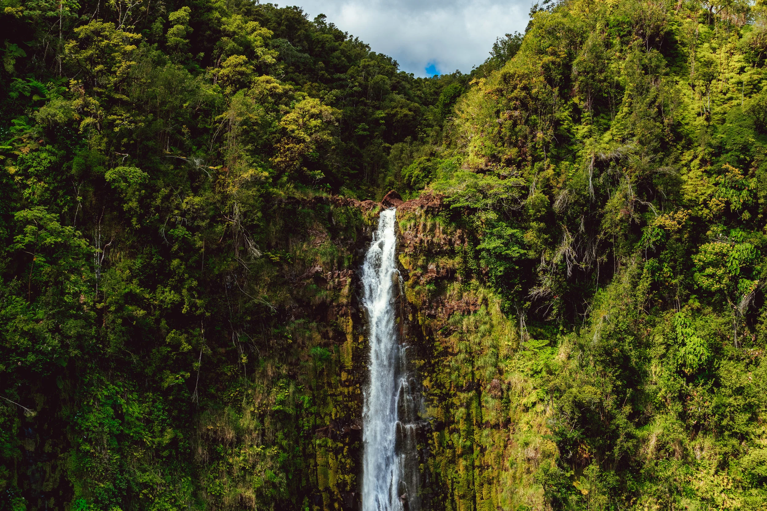 Hawaii Vacay-24.jpg