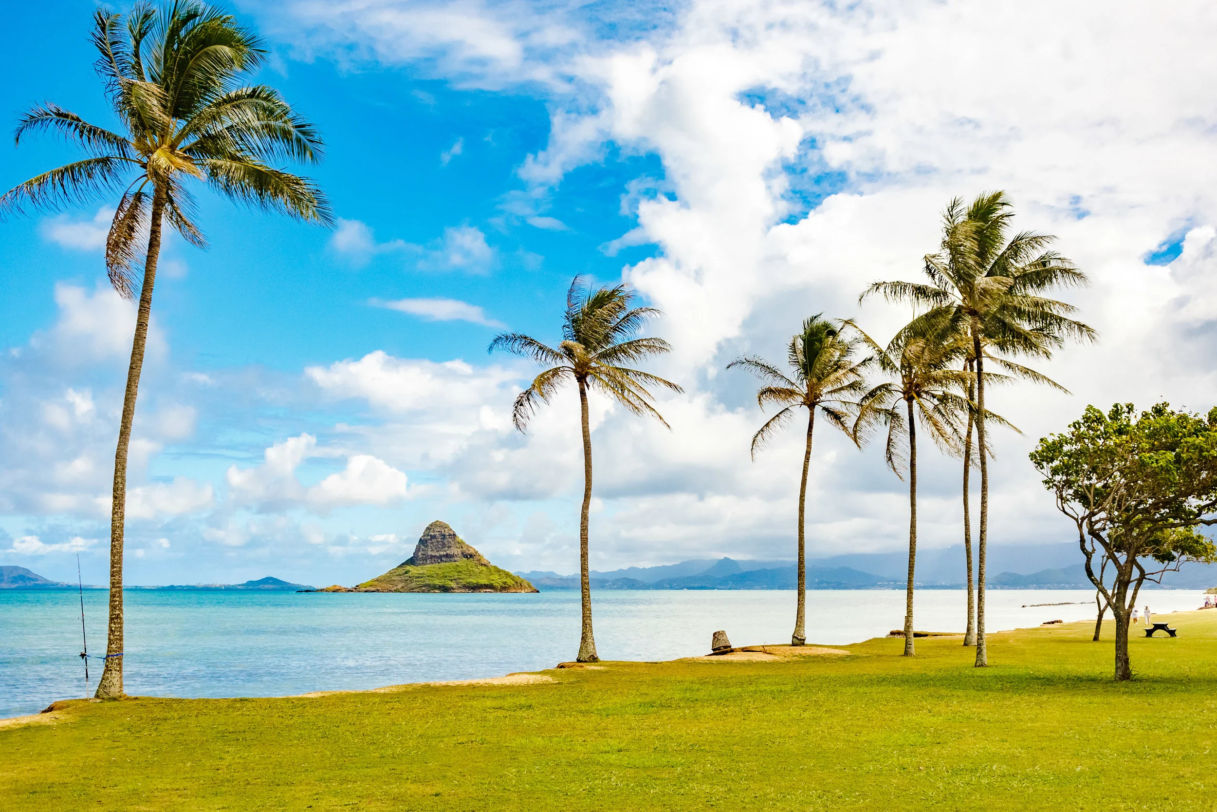 Hawaii-451.jpg