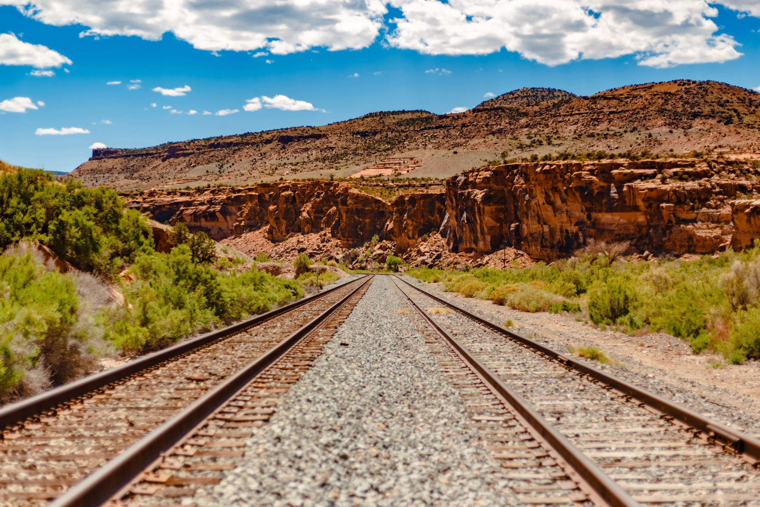 Colorado shots-2.jpg