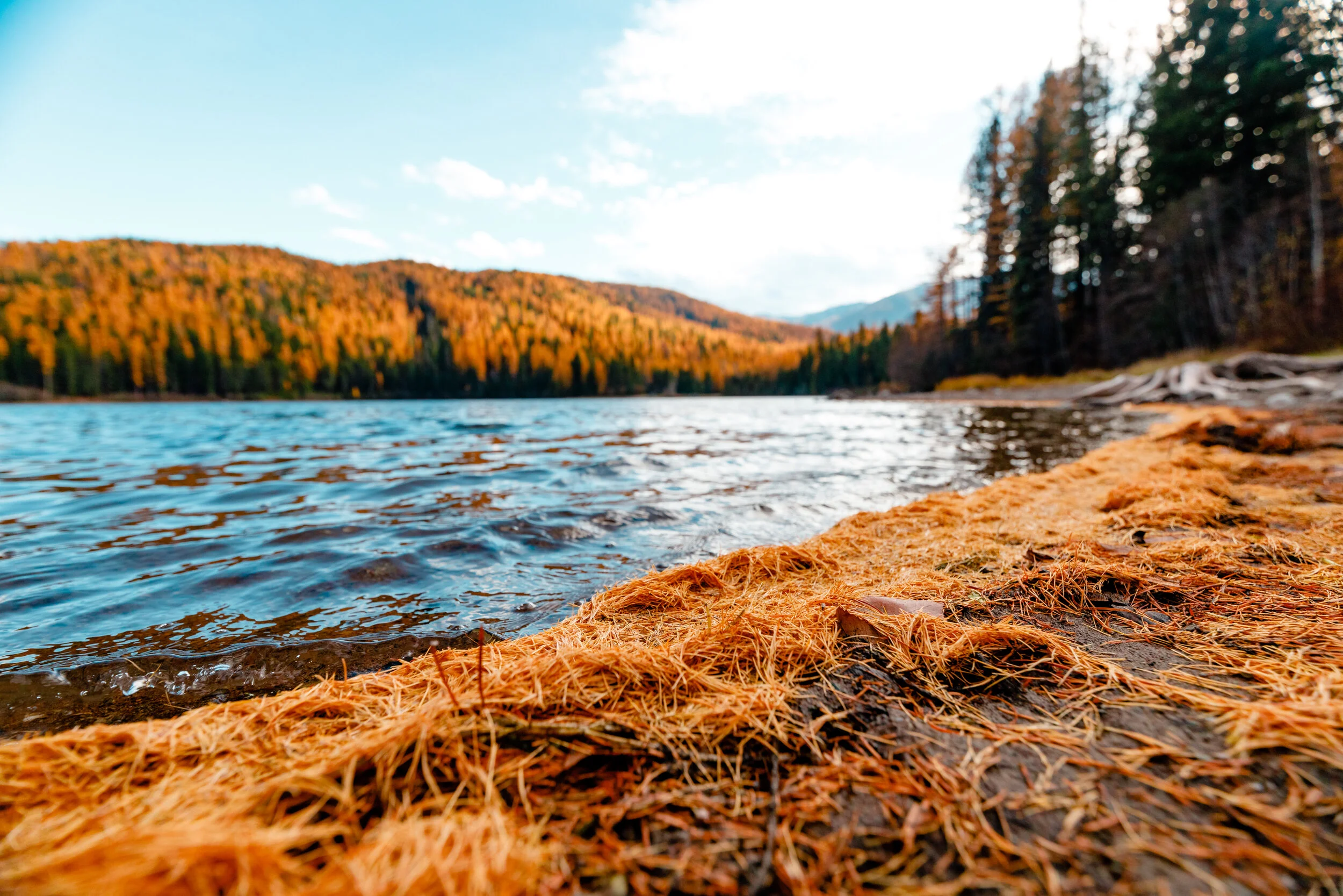 MT trip preview-4.jpg