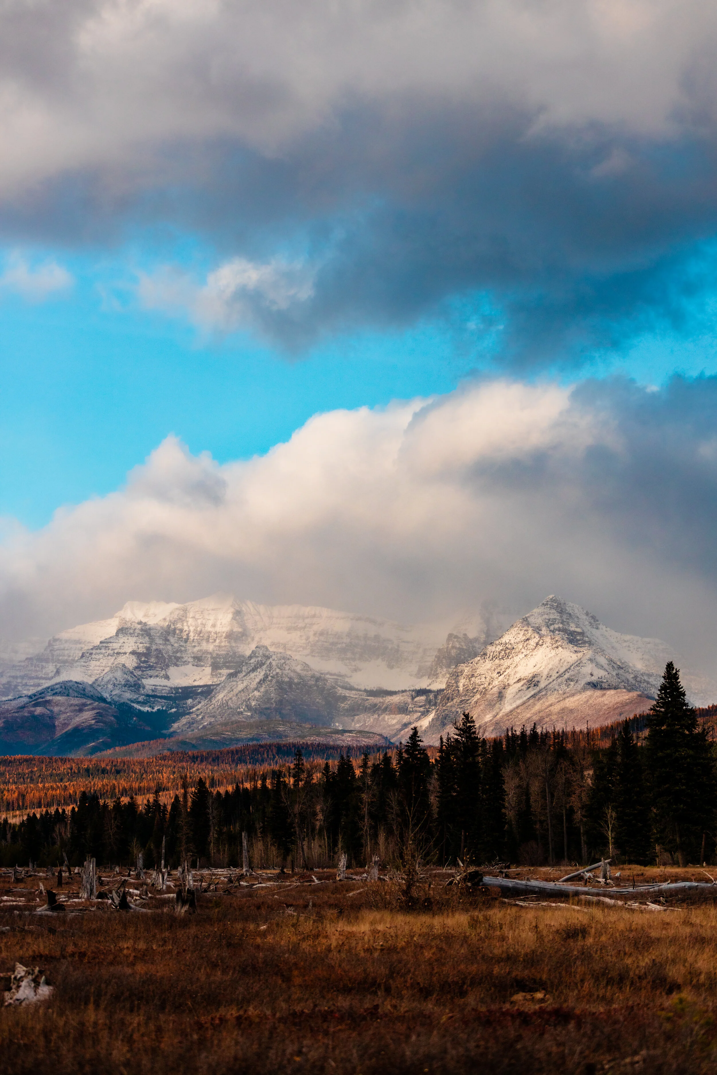 MT trip preview-29.jpg