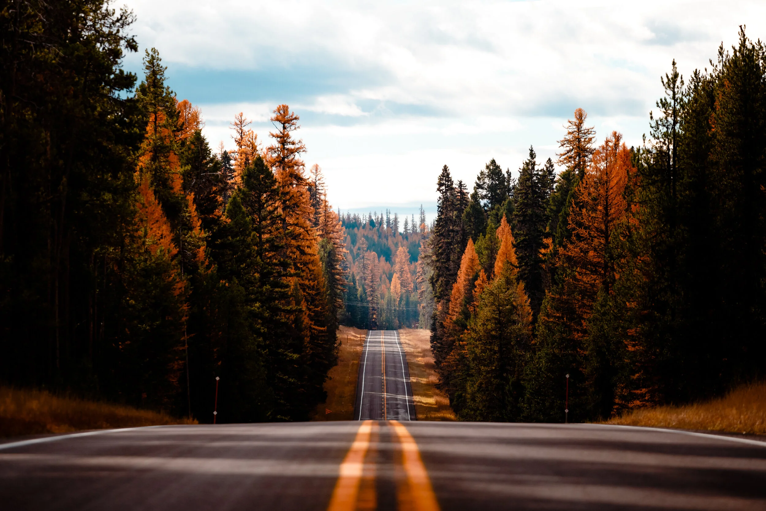 MT trip preview-48.jpg