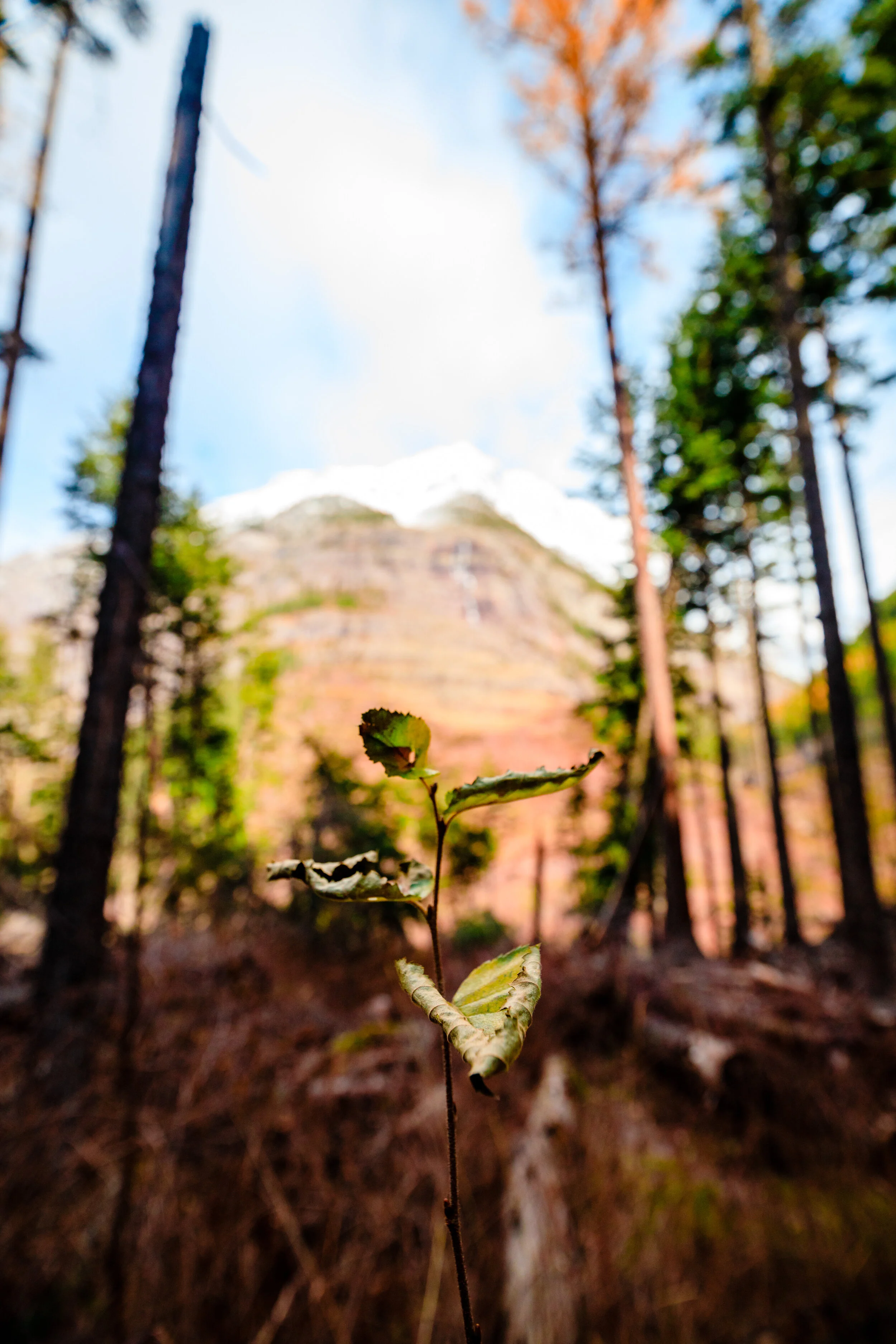 MT trip preview-67.jpg