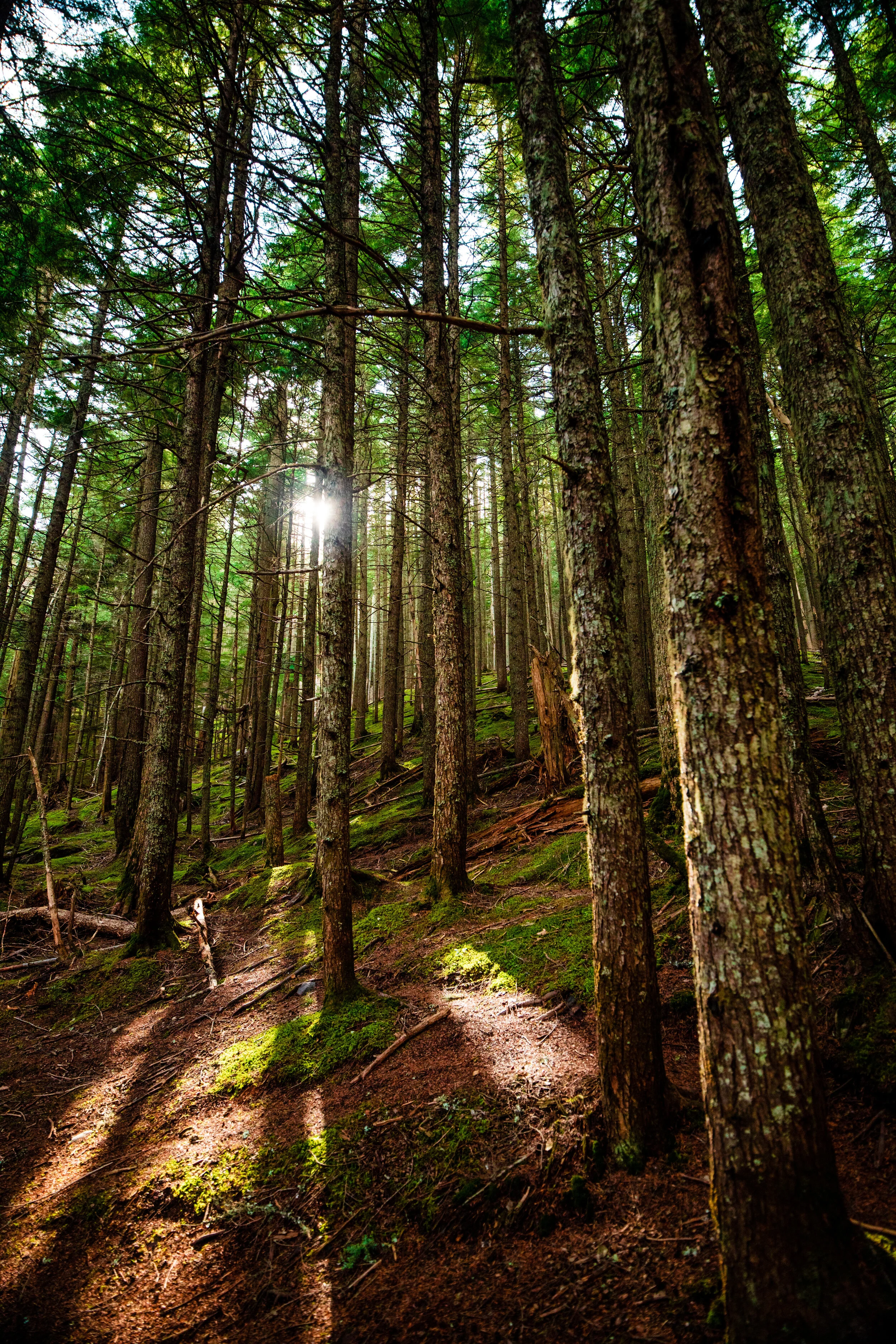 MT trip preview-68.jpg