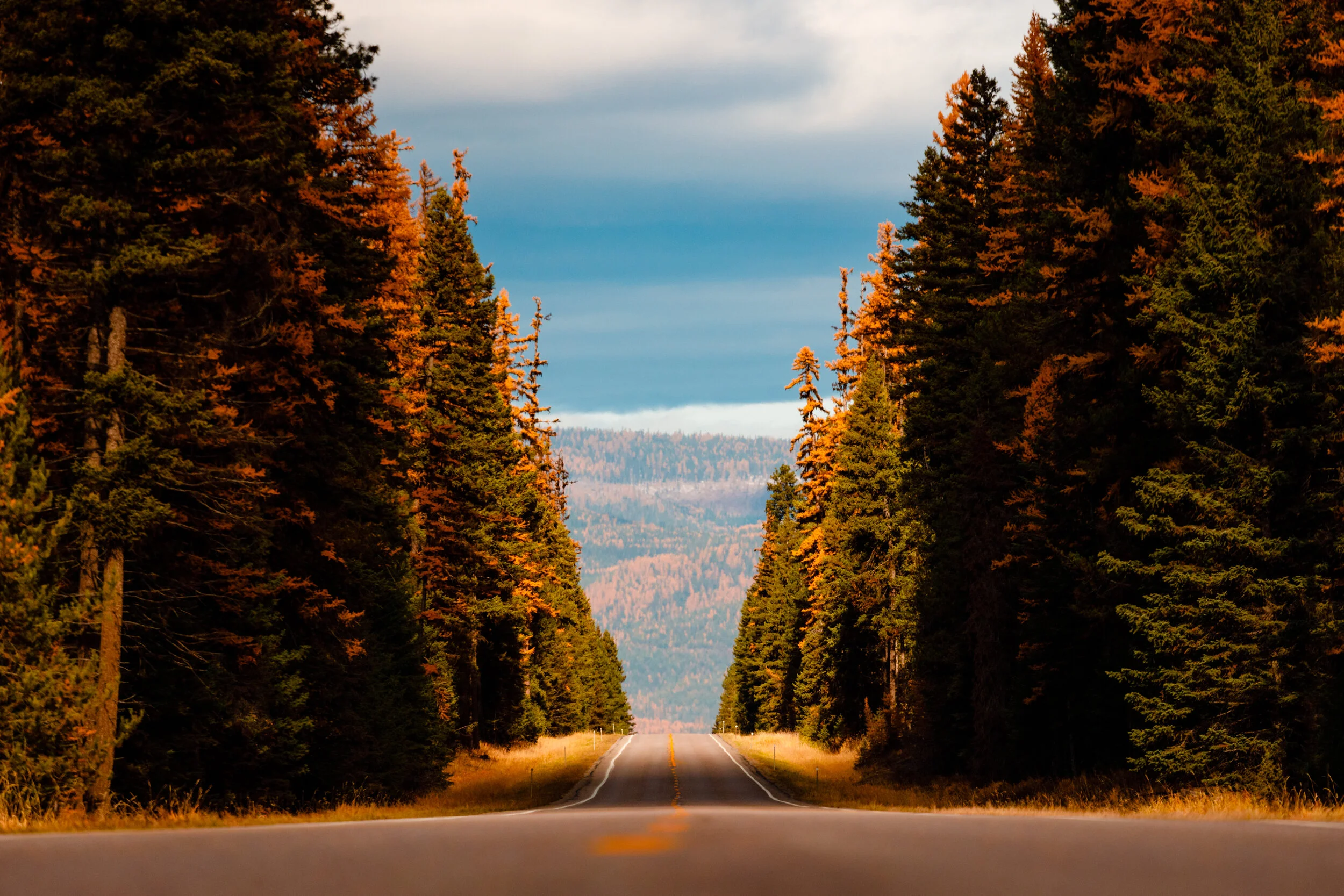 MT trip preview-93.jpg