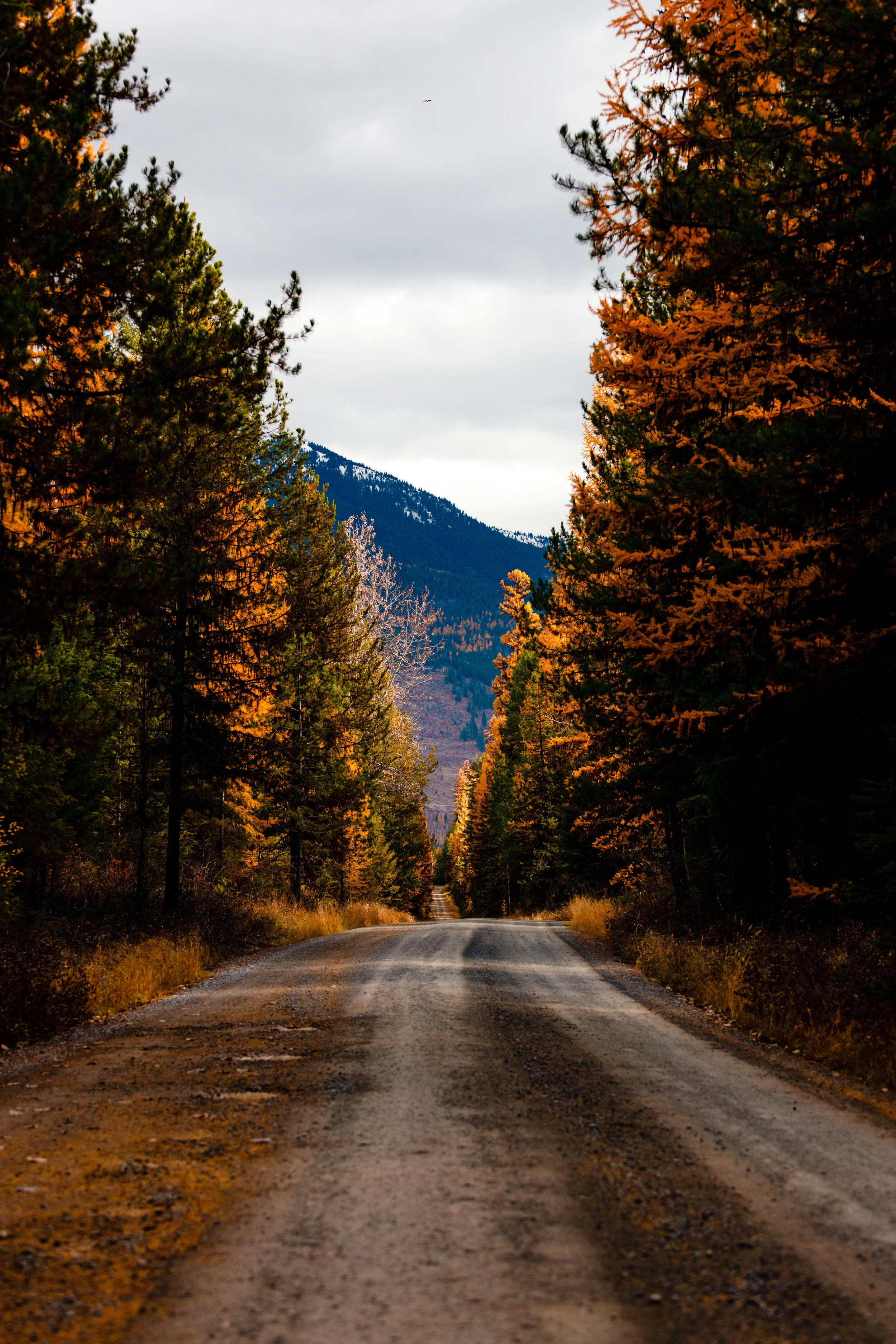 MT trip preview-91.jpg