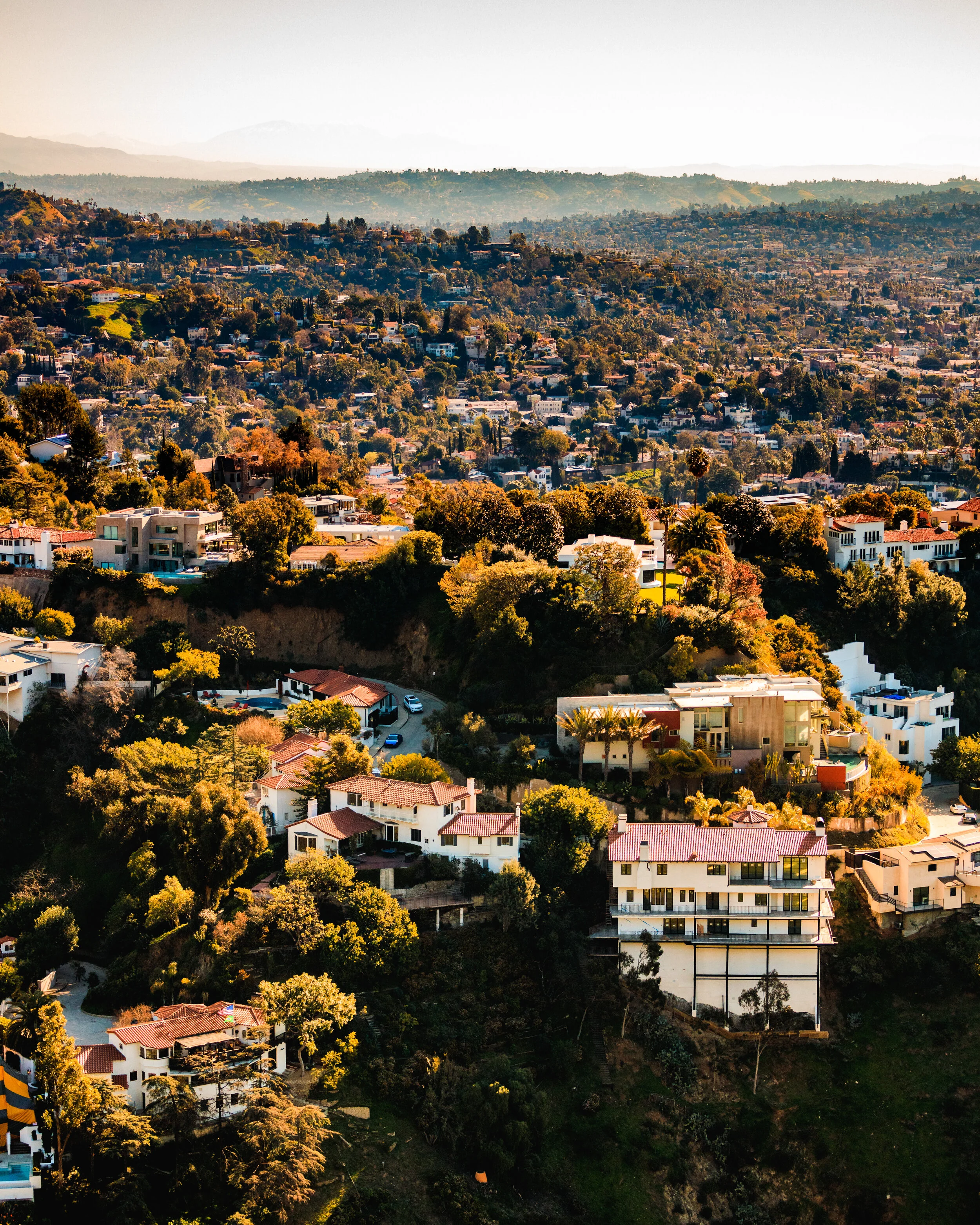 LA_2019-11.jpg