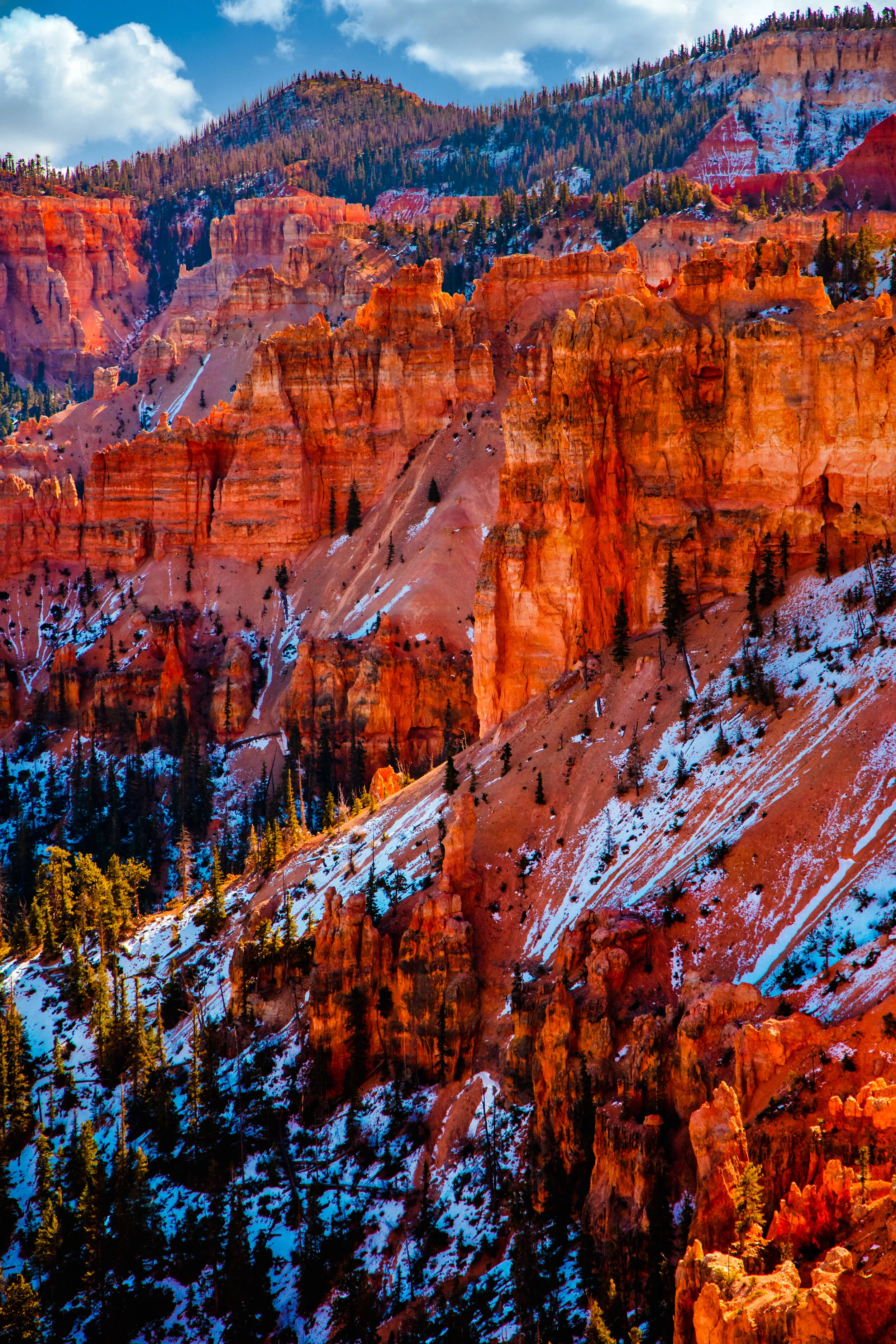 bryce canyon-20.jpg