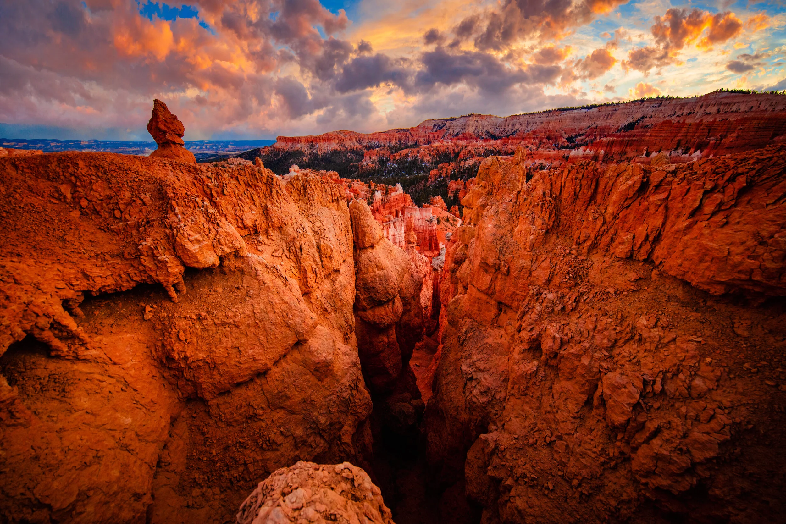 bryce canyon-23.jpg