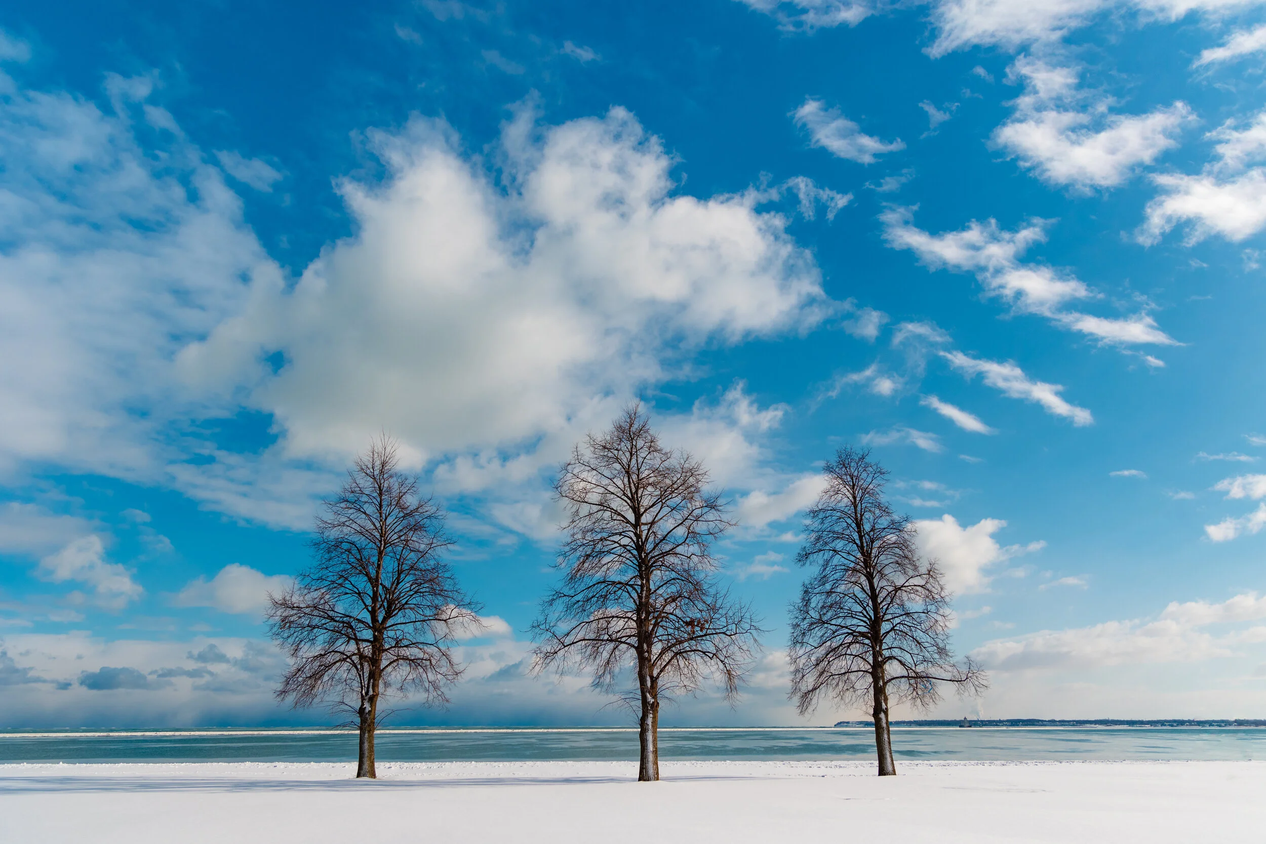 Milwaukee lakefront winter 2021-1.jpg