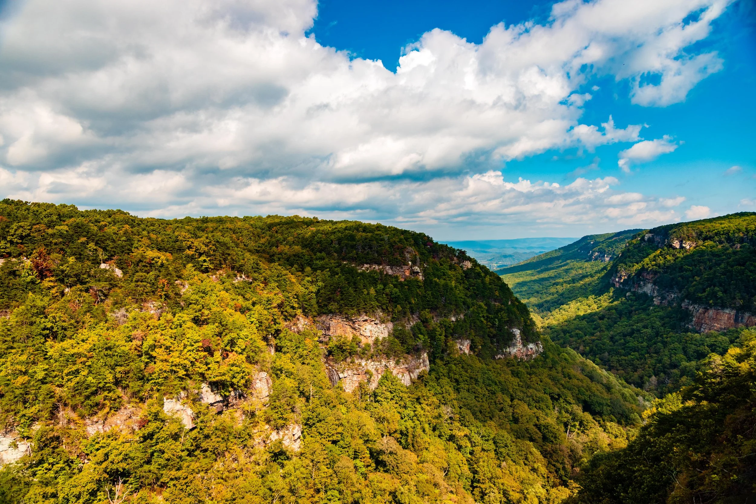 Cloudland Canyon-3.jpg