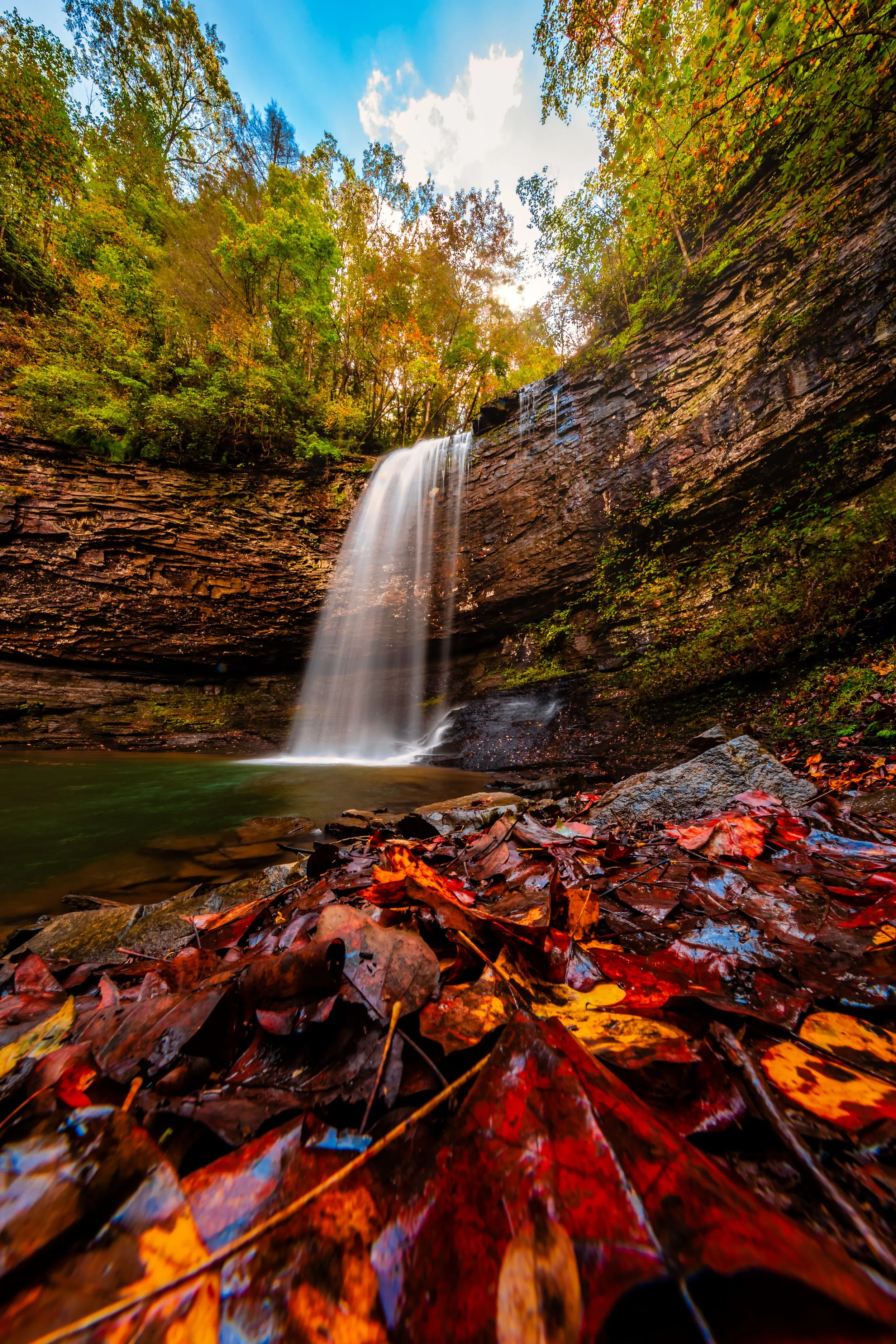 Cloudland Canyon-9.jpg