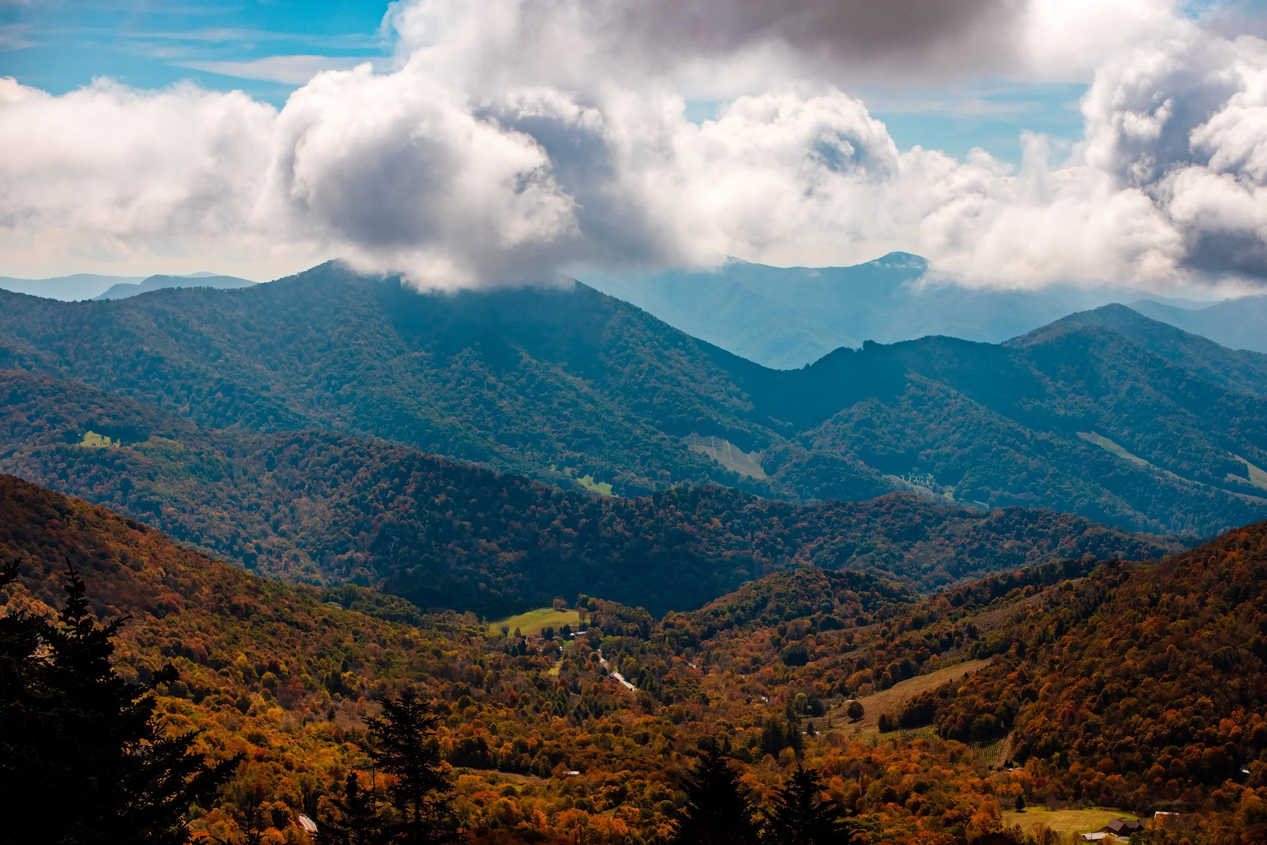 Roan Mountain-14.jpg