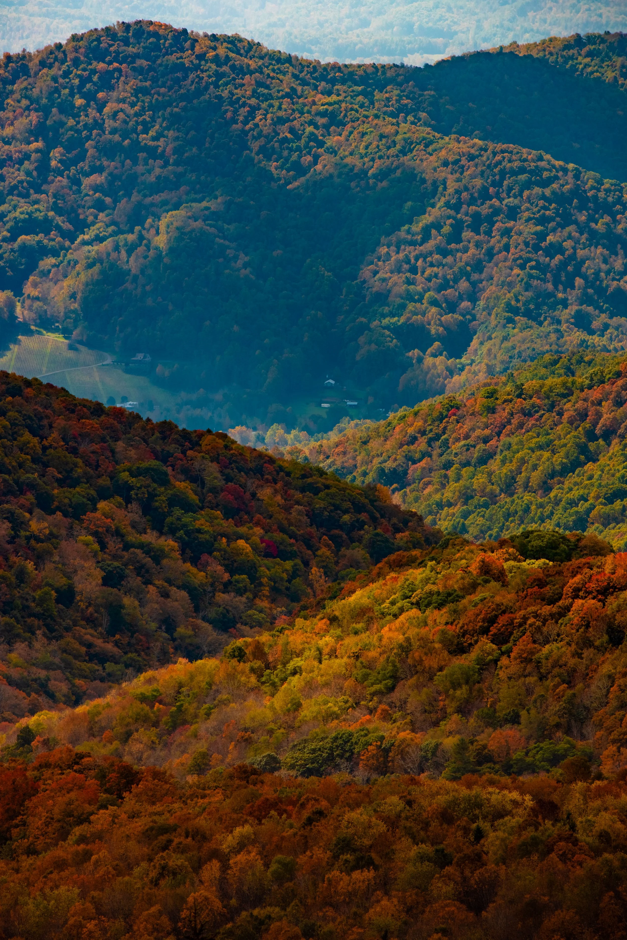 Roan Mountain-18.jpg