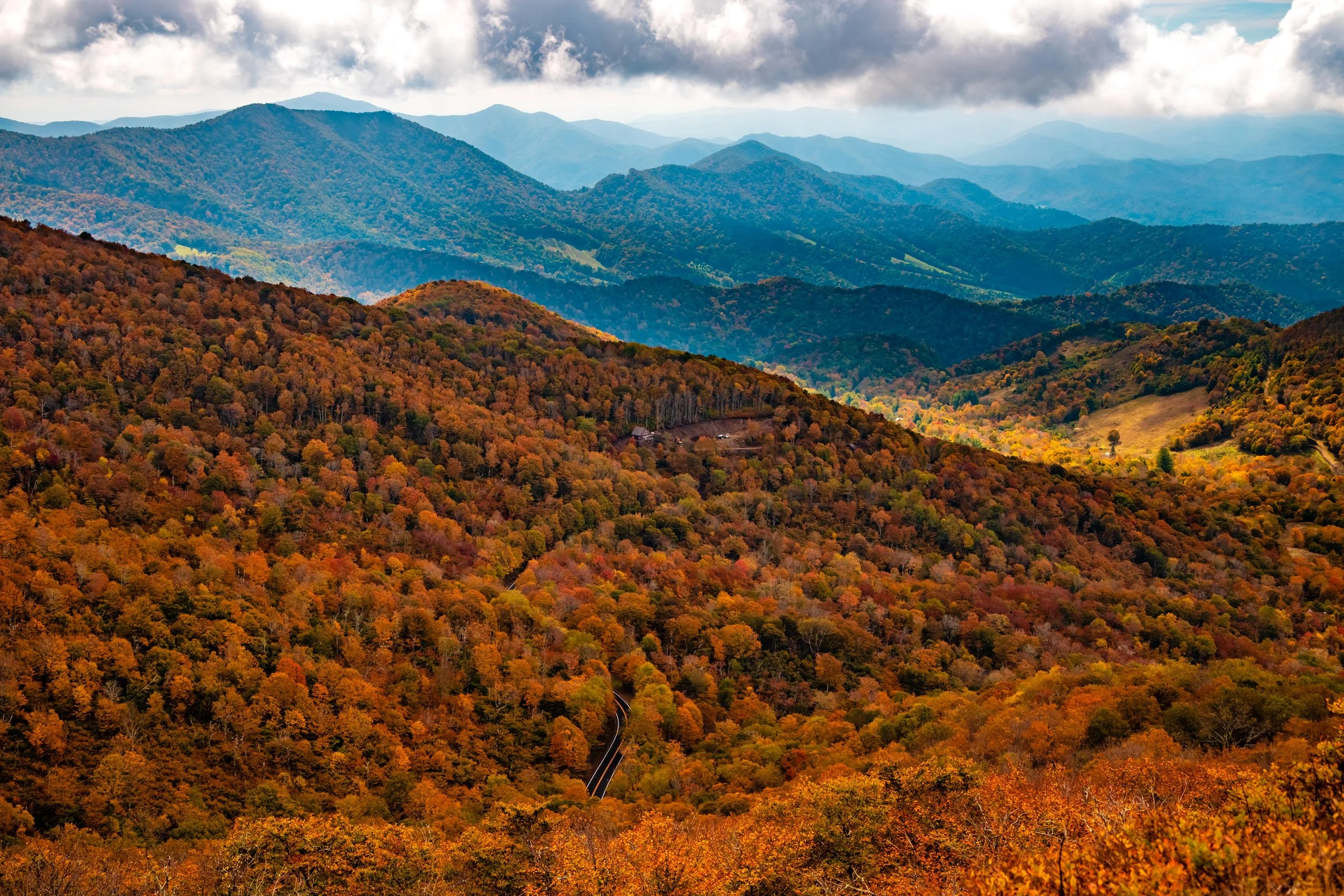Roan Mountain-38.jpg