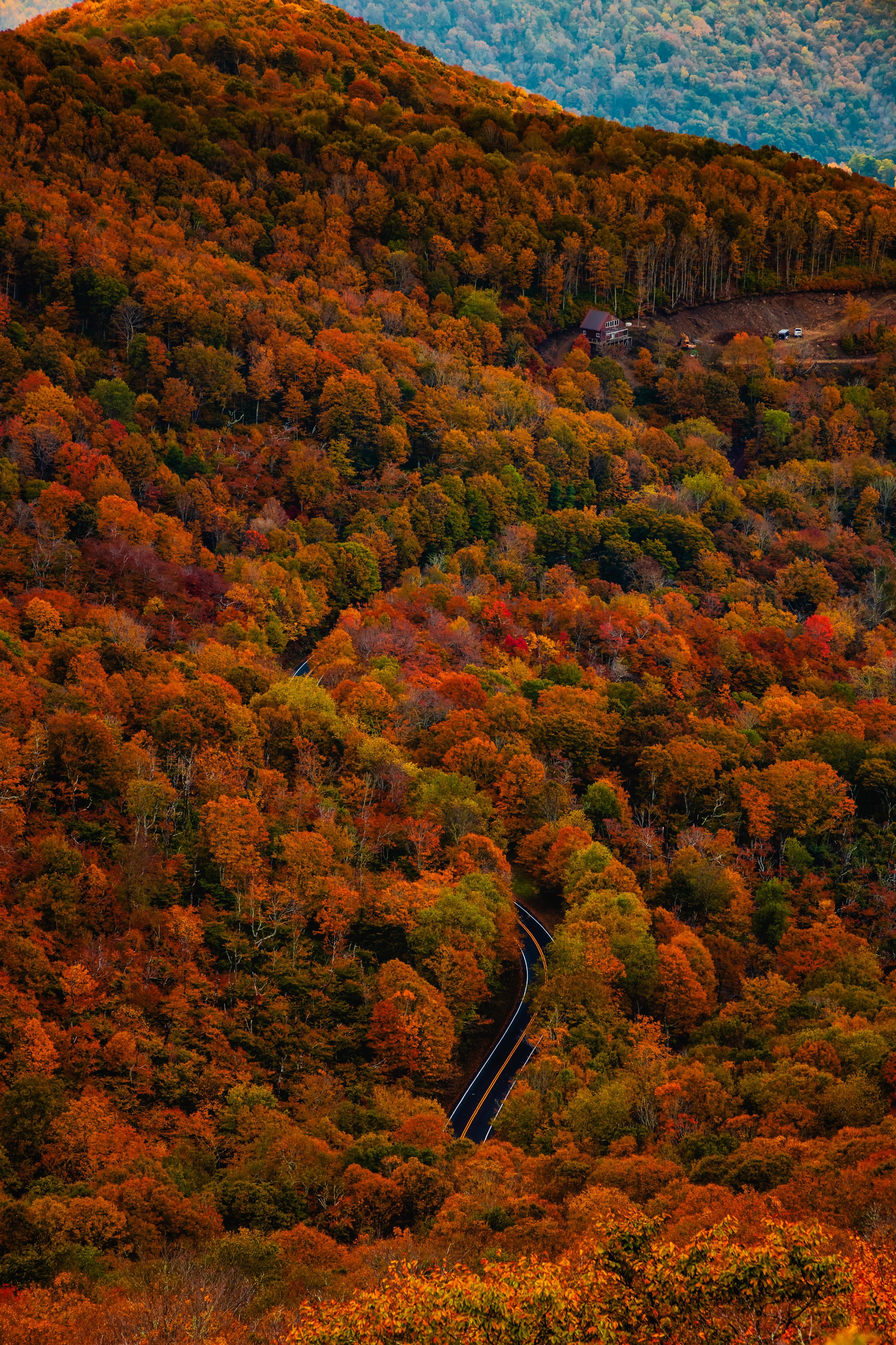 Roan Mountain-39.jpg