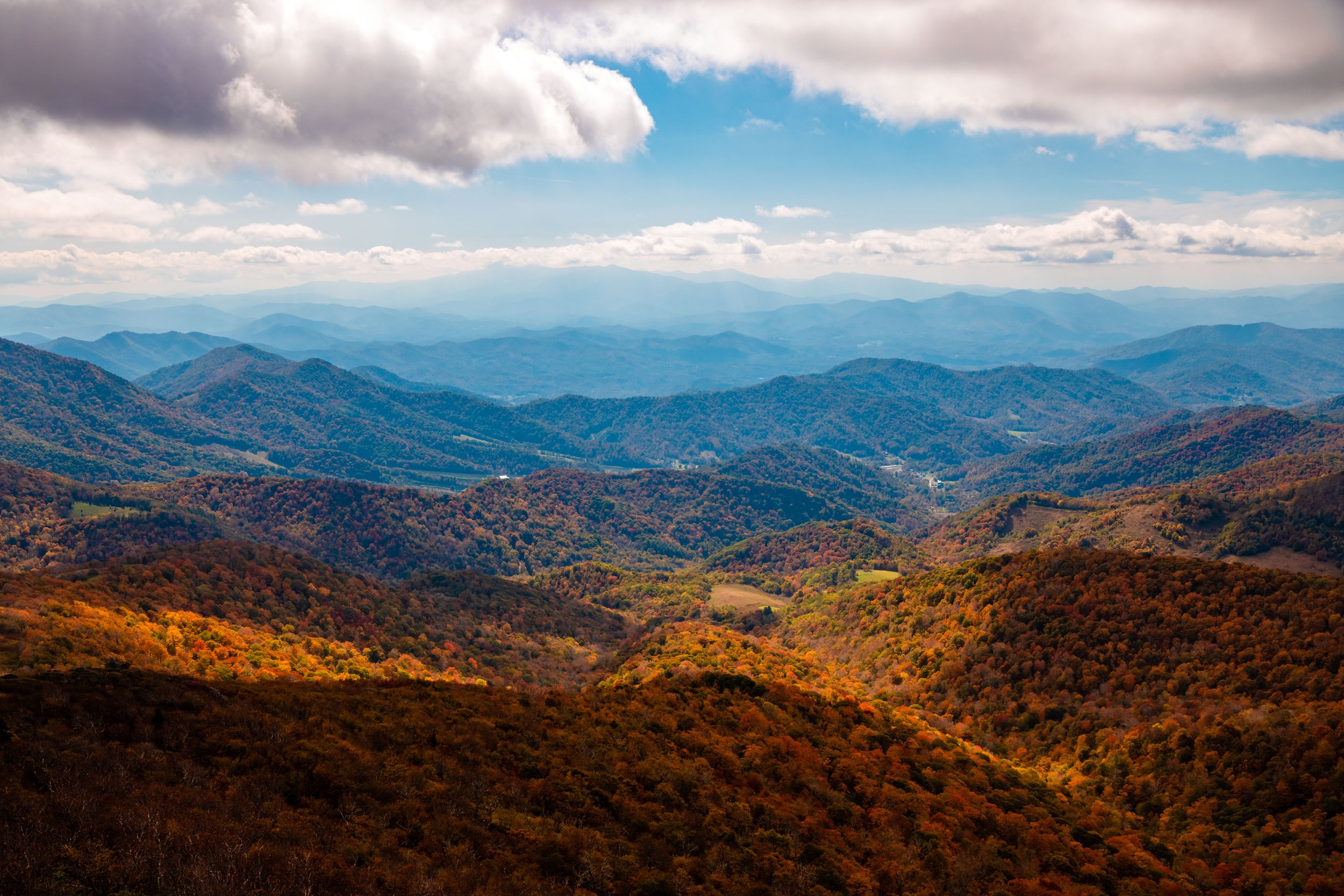 Roan Mountain-52.jpg
