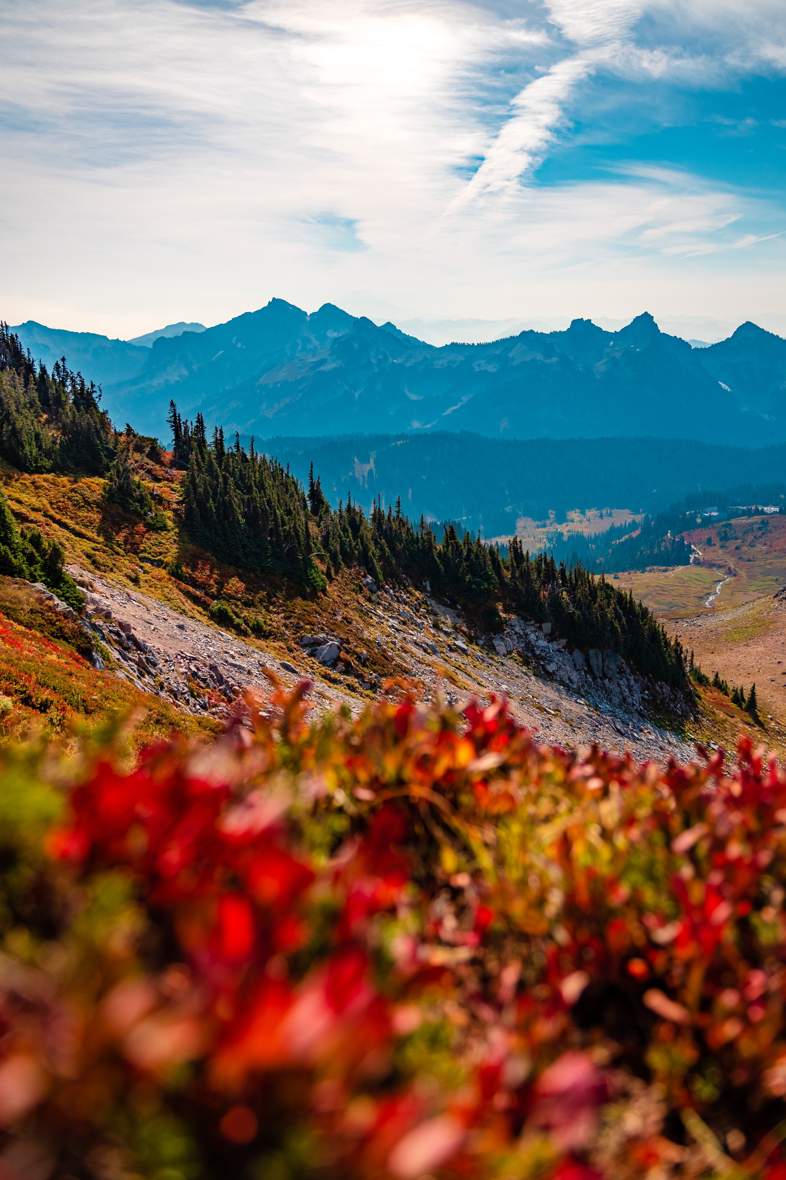 Mt. Rainier NP-6.jpg