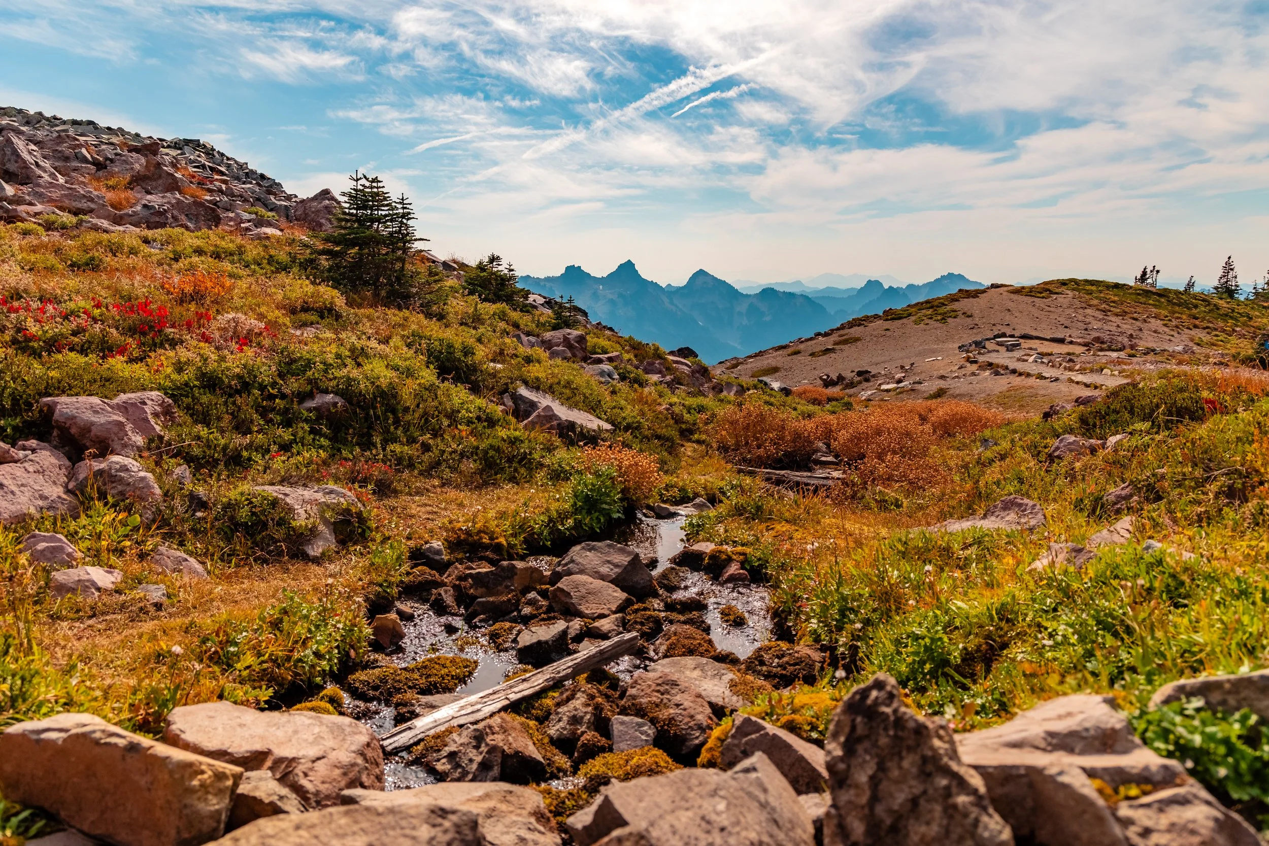 Mt. Rainier NP-15.jpg