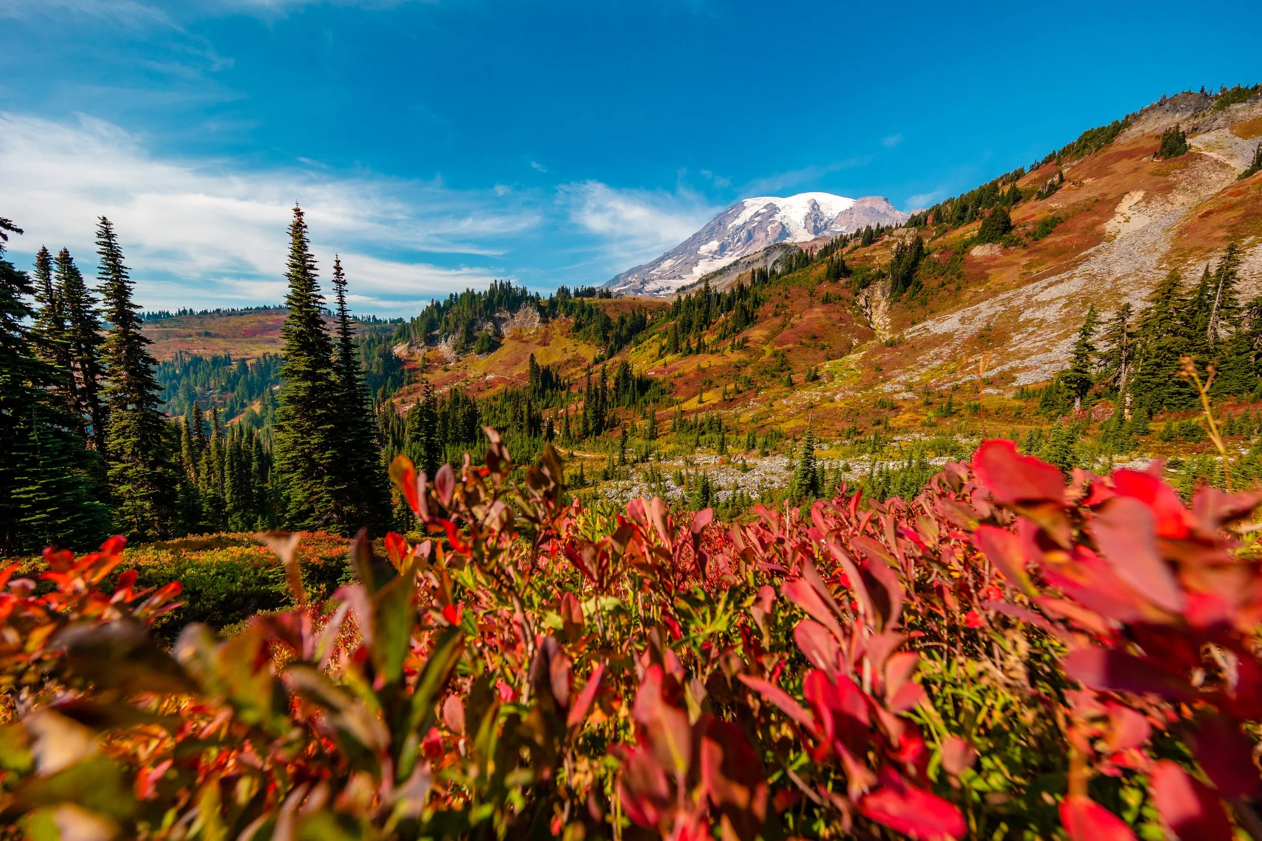 Mt. Rainier NP-27.jpg