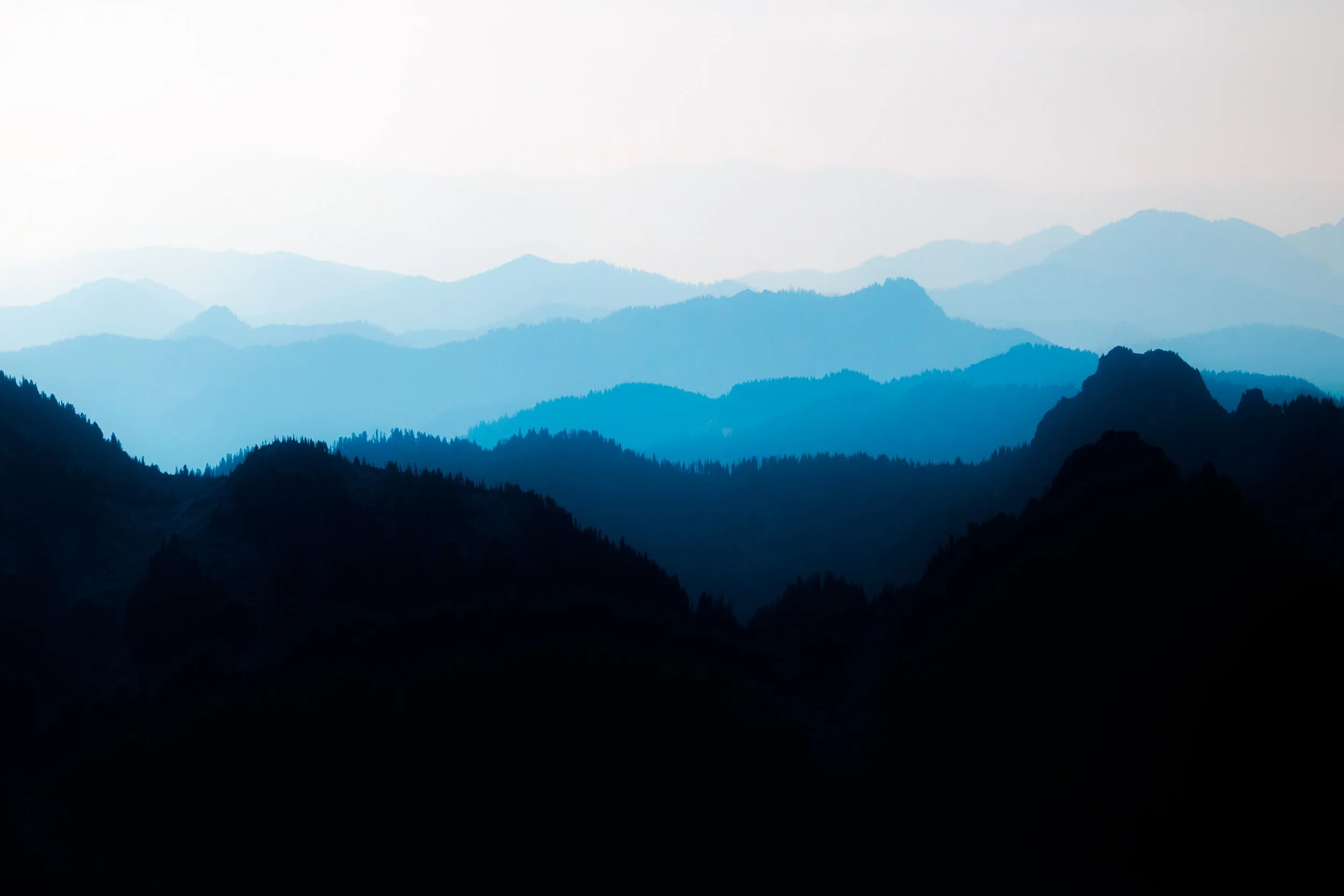Mt. Rainier NP-33.jpg
