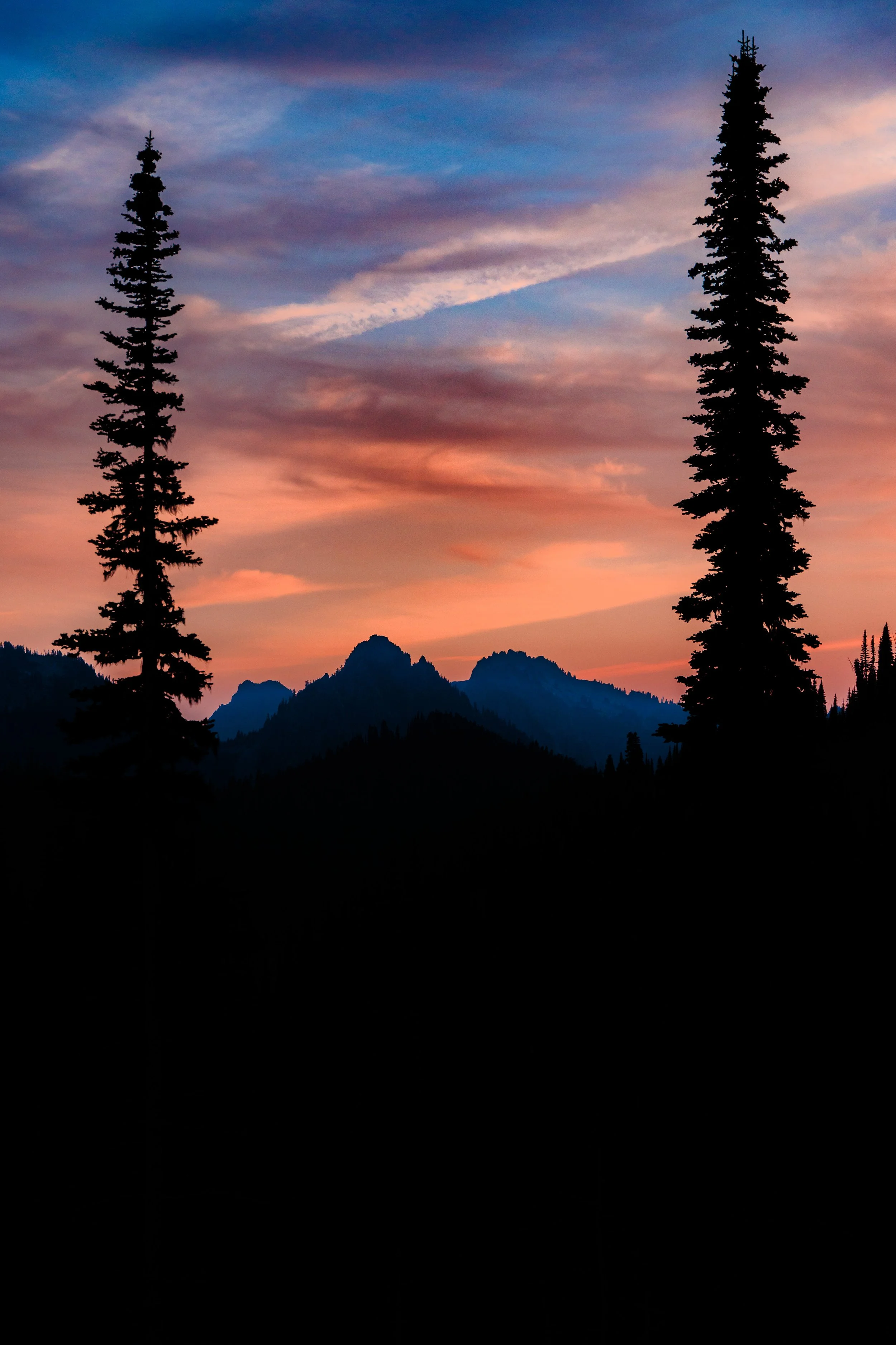 Mt. Rainier NP-37.jpg
