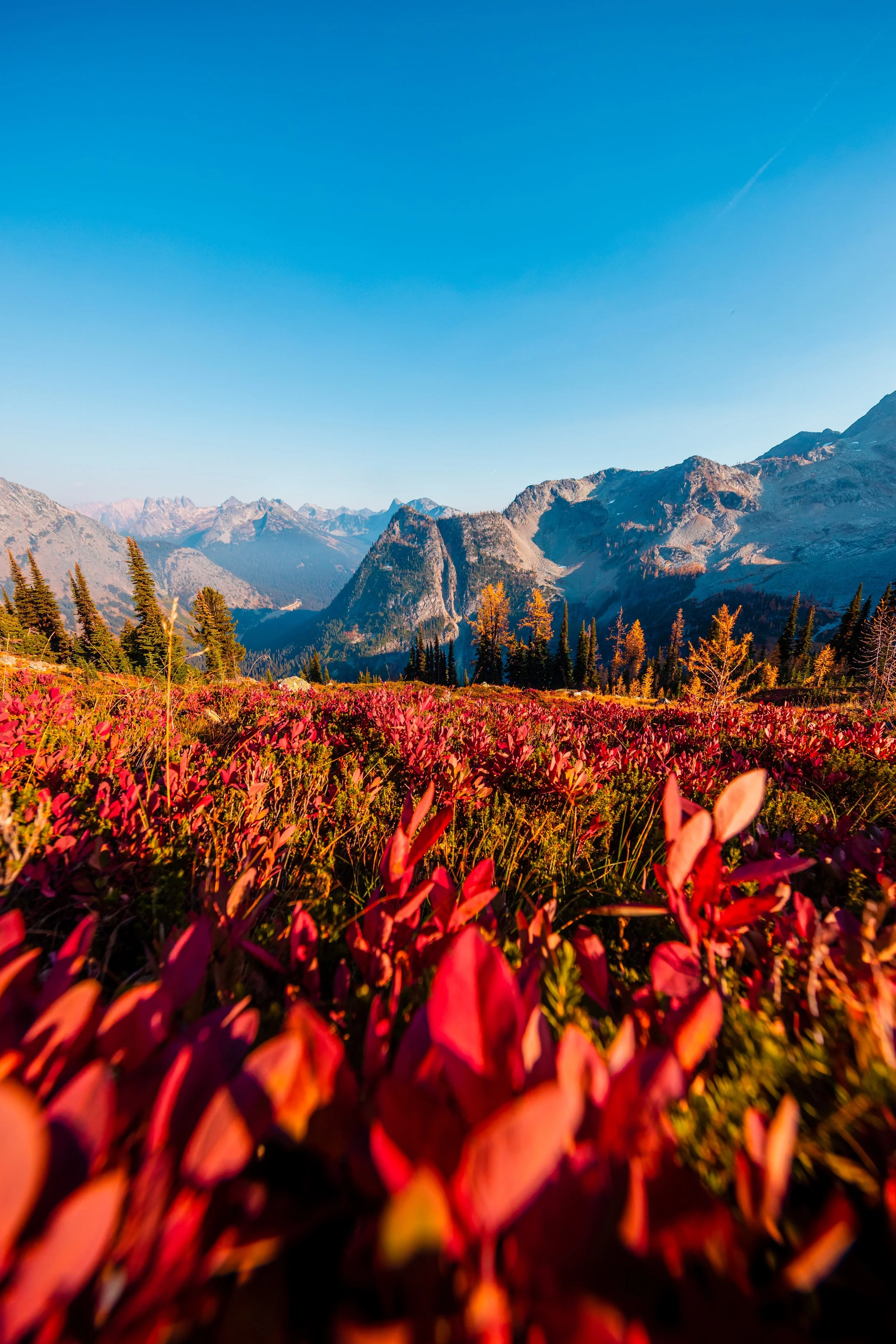 North Cascades NP-24.jpg