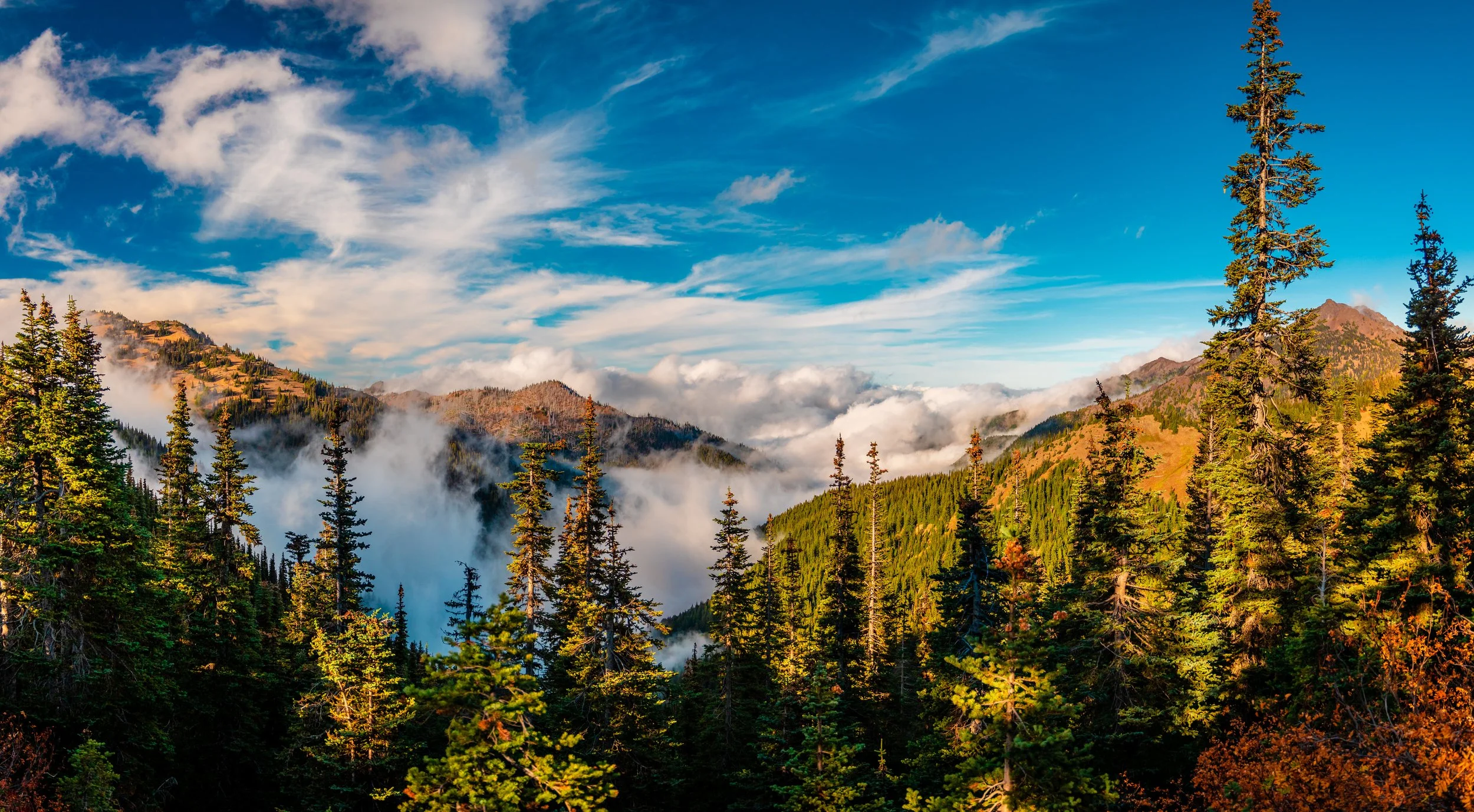 Olympic National Park-1.jpg