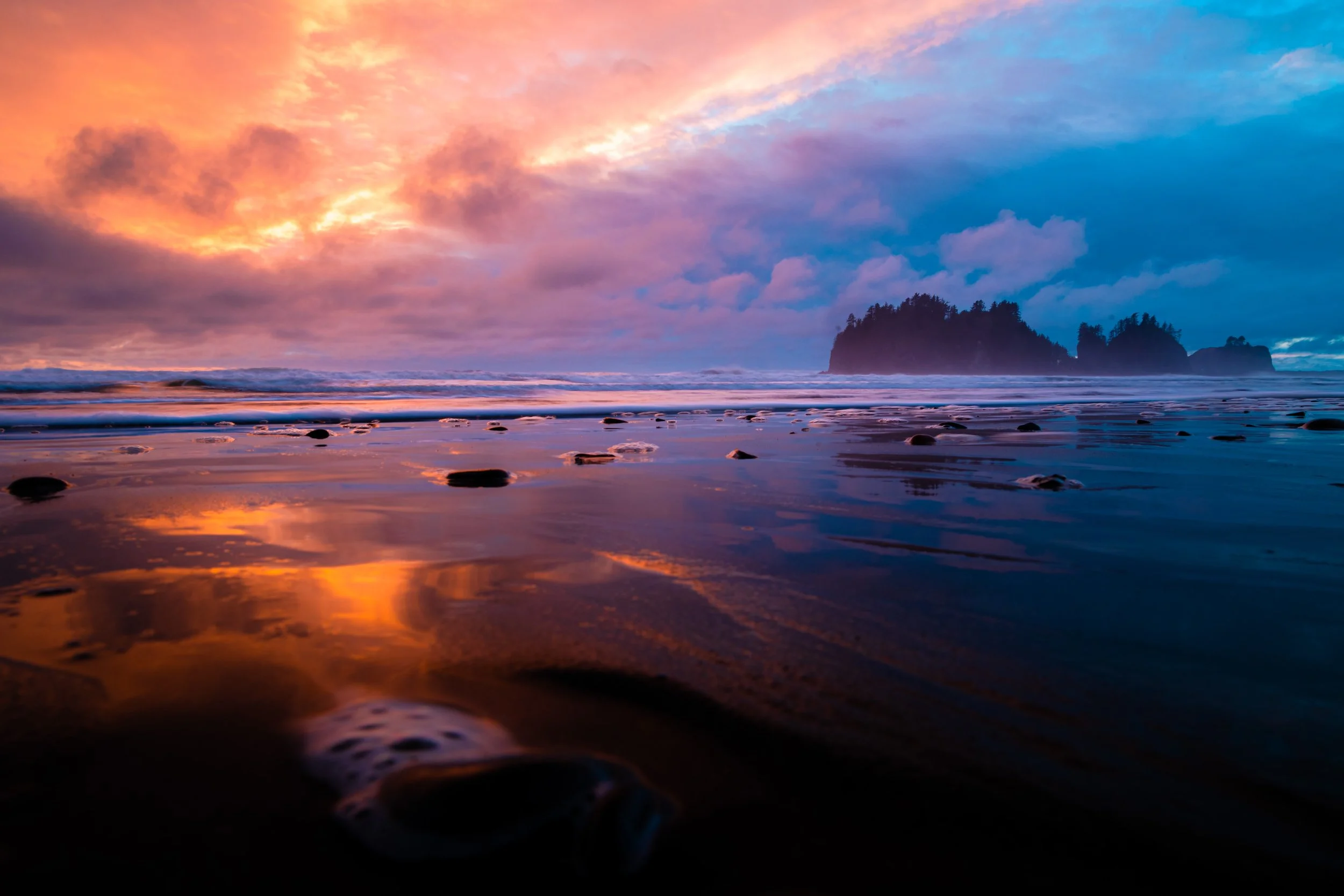 First Beach-1.jpg