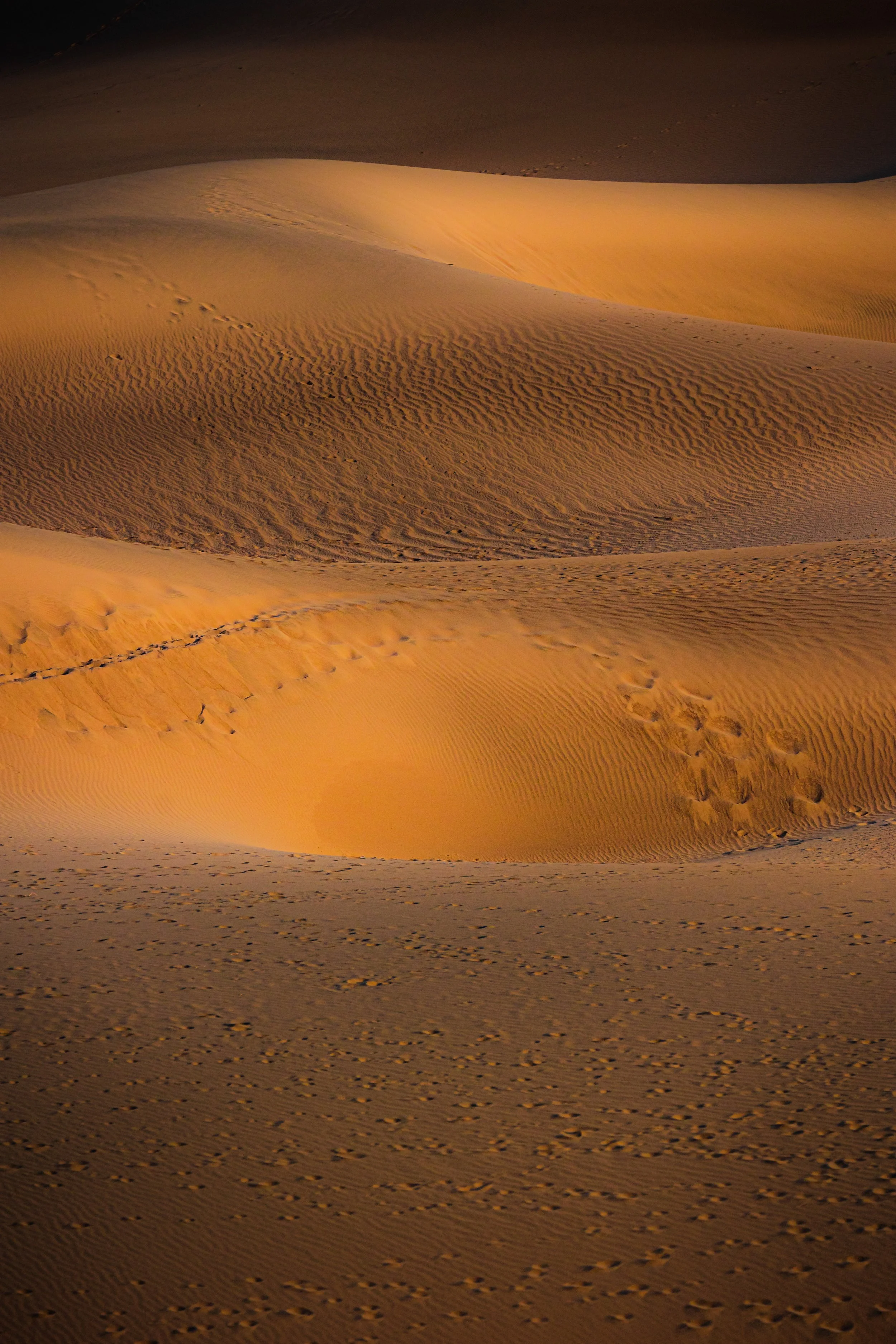 Death Valley National Park-39.jpg
