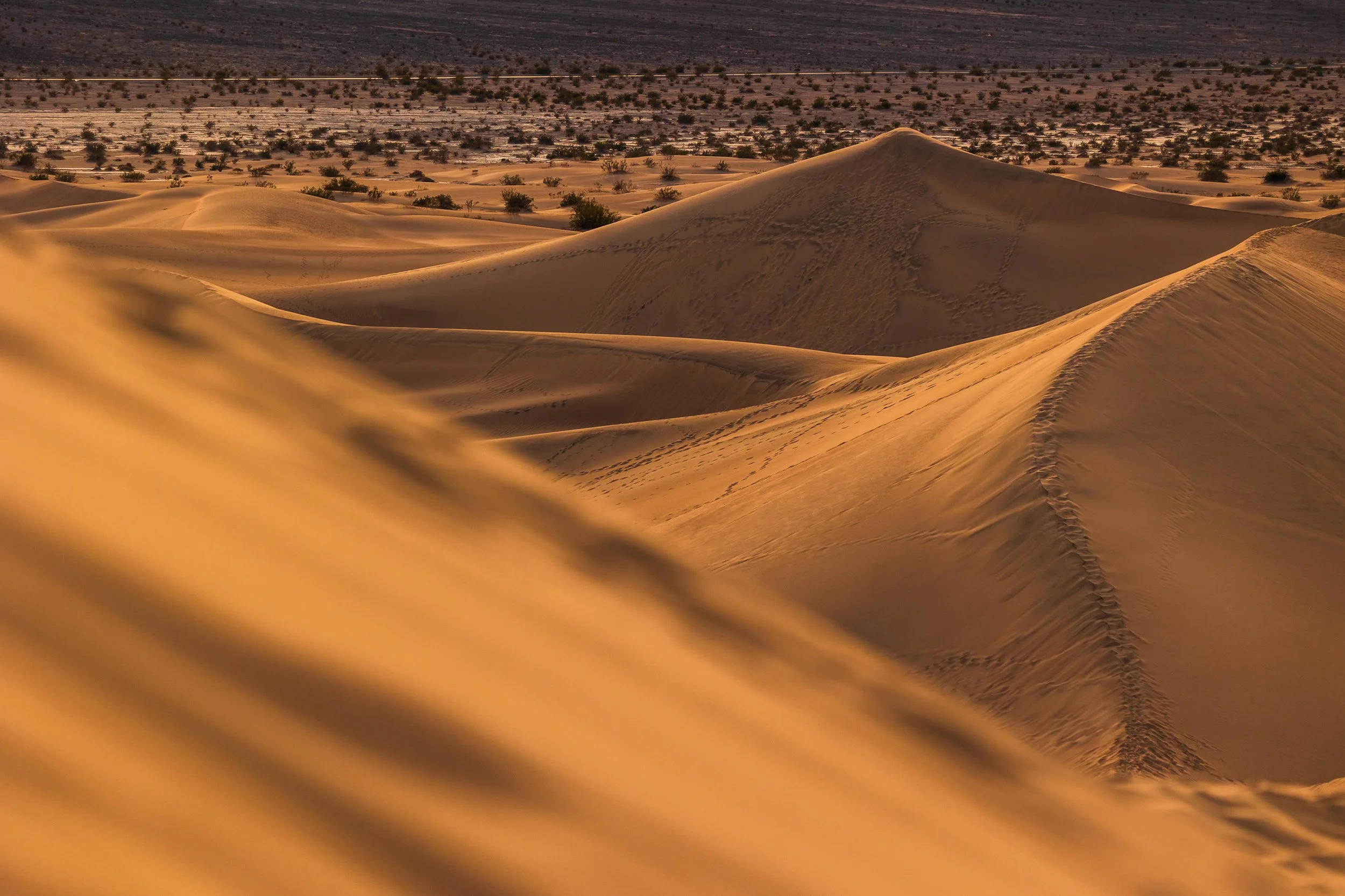 Death Valley National Park-47.jpg