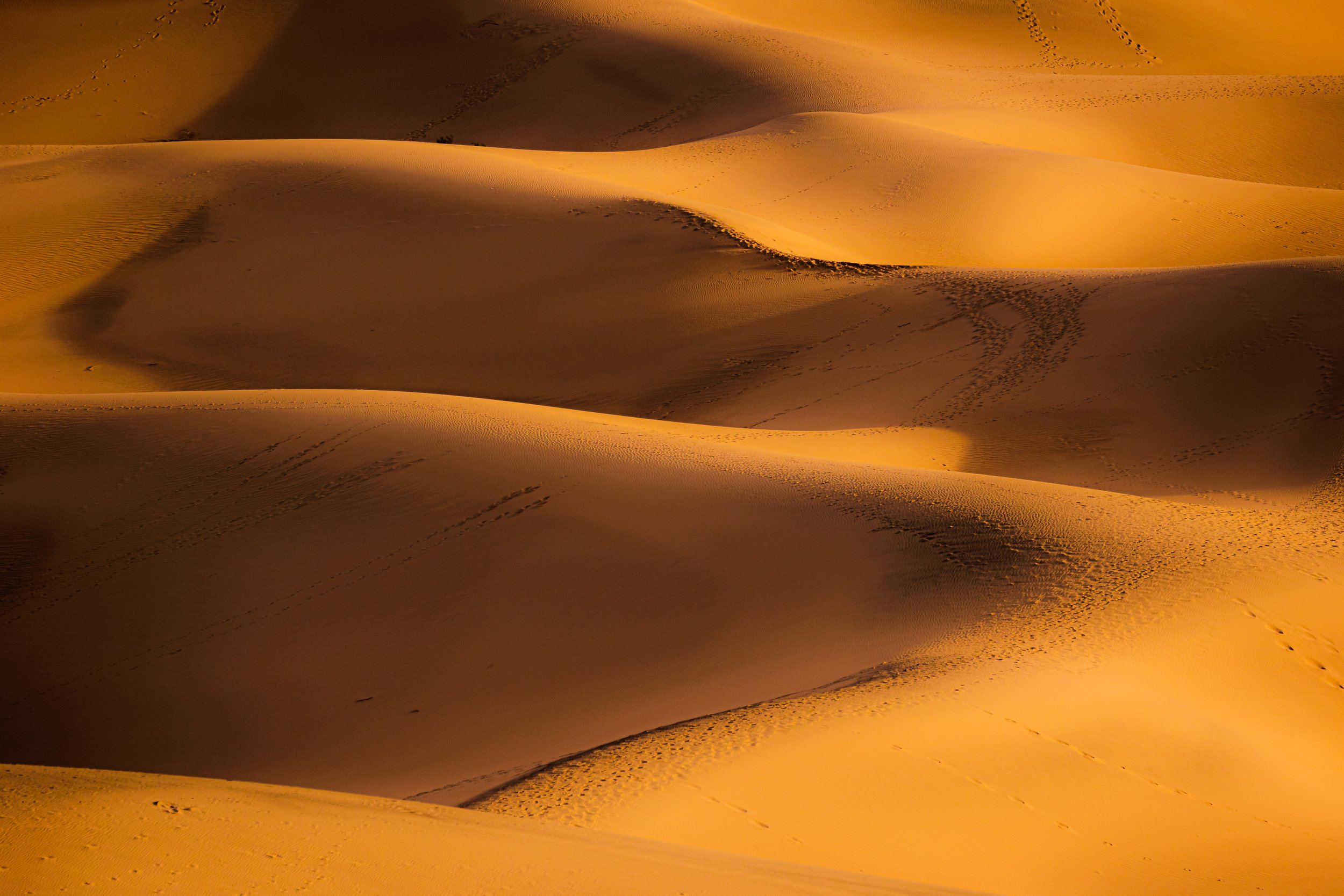 Death Valley National Park-54.jpg