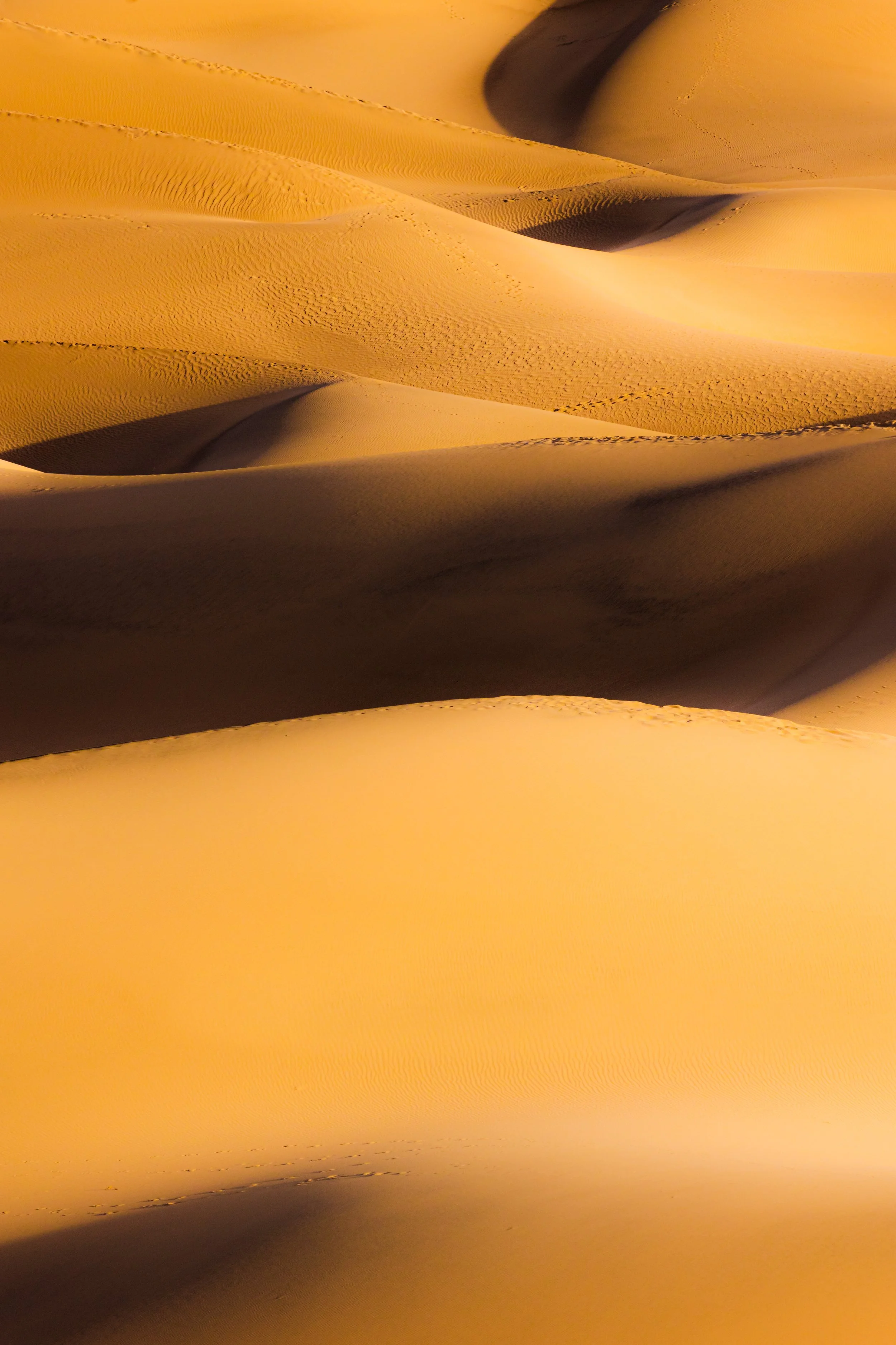 Death Valley National Park-67.jpg