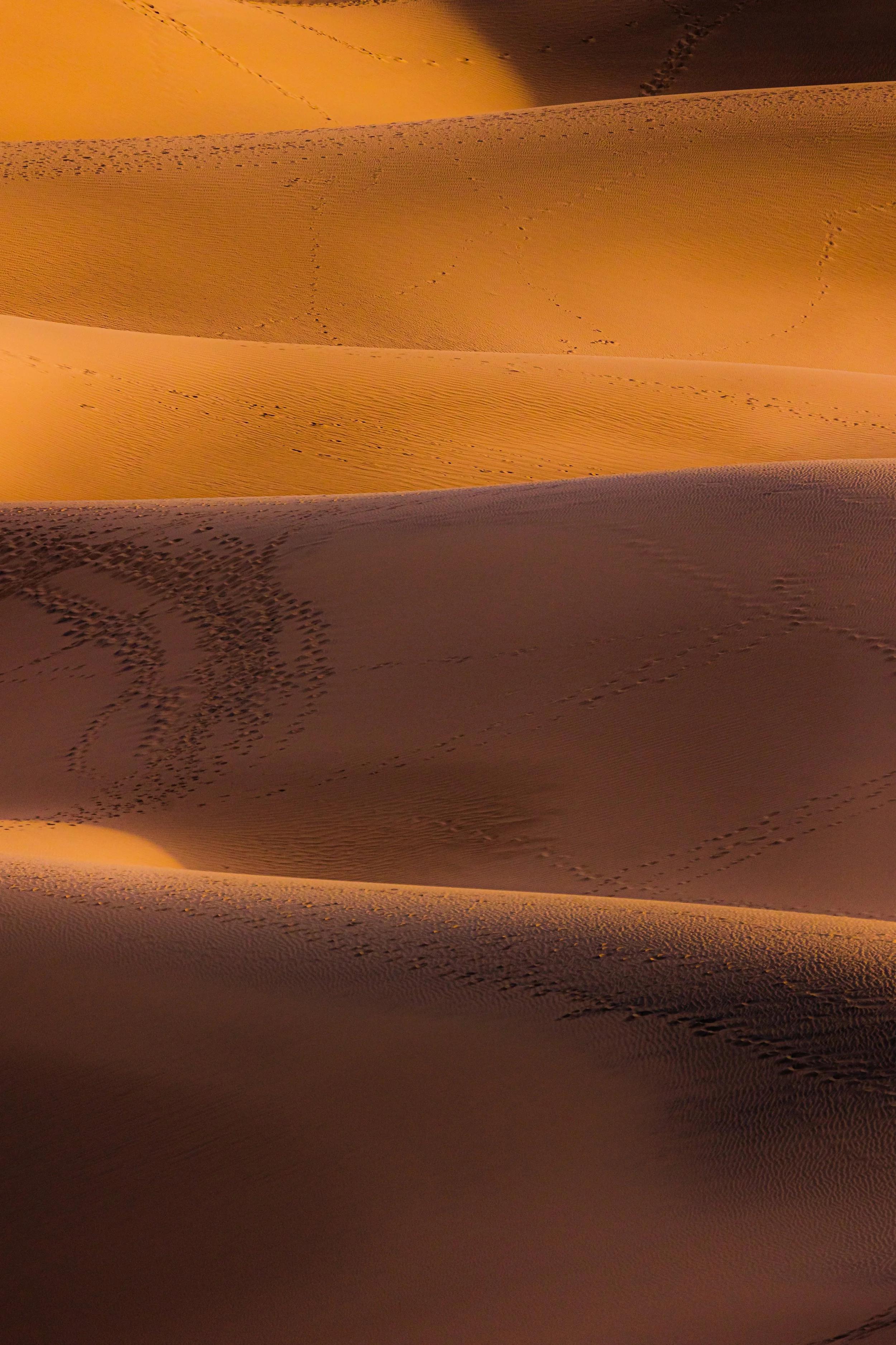 Death Valley National Park-69.jpg