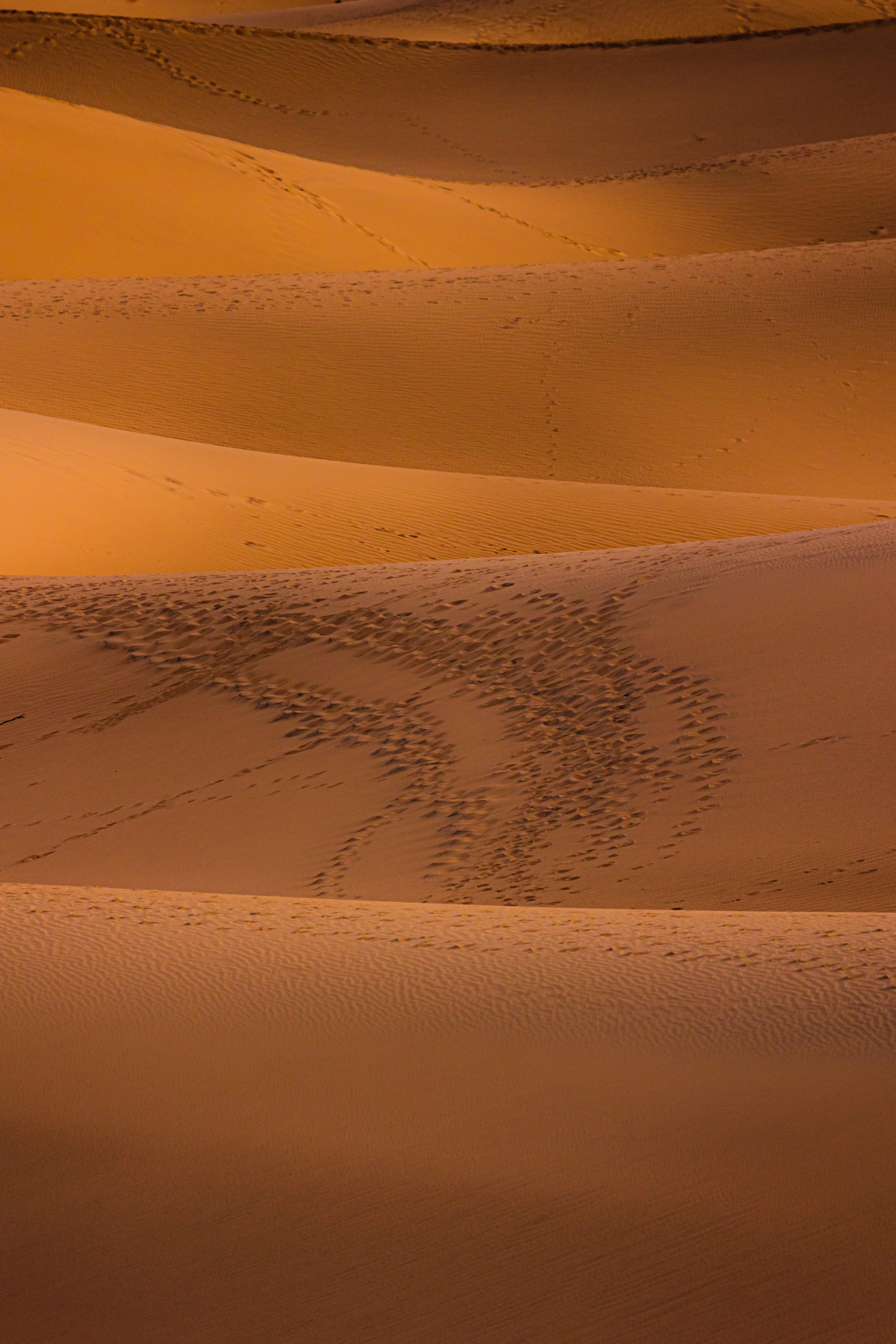 Death Valley National Park-73.jpg