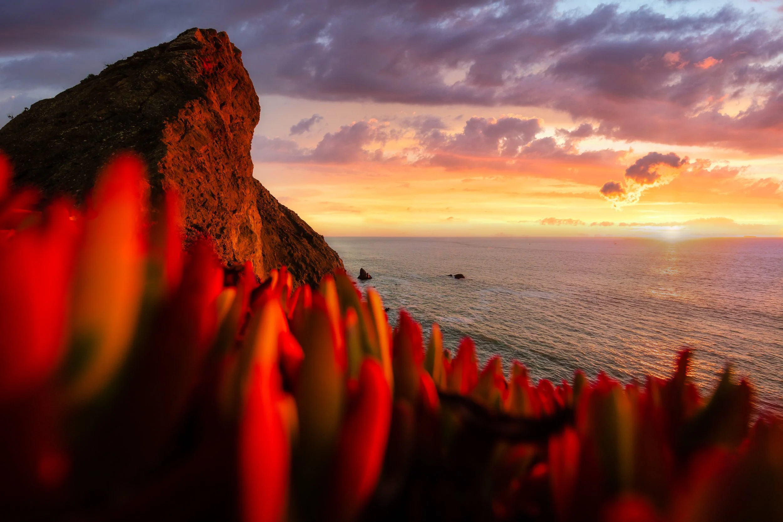 Point Bonita Lighthouse-1.jpg