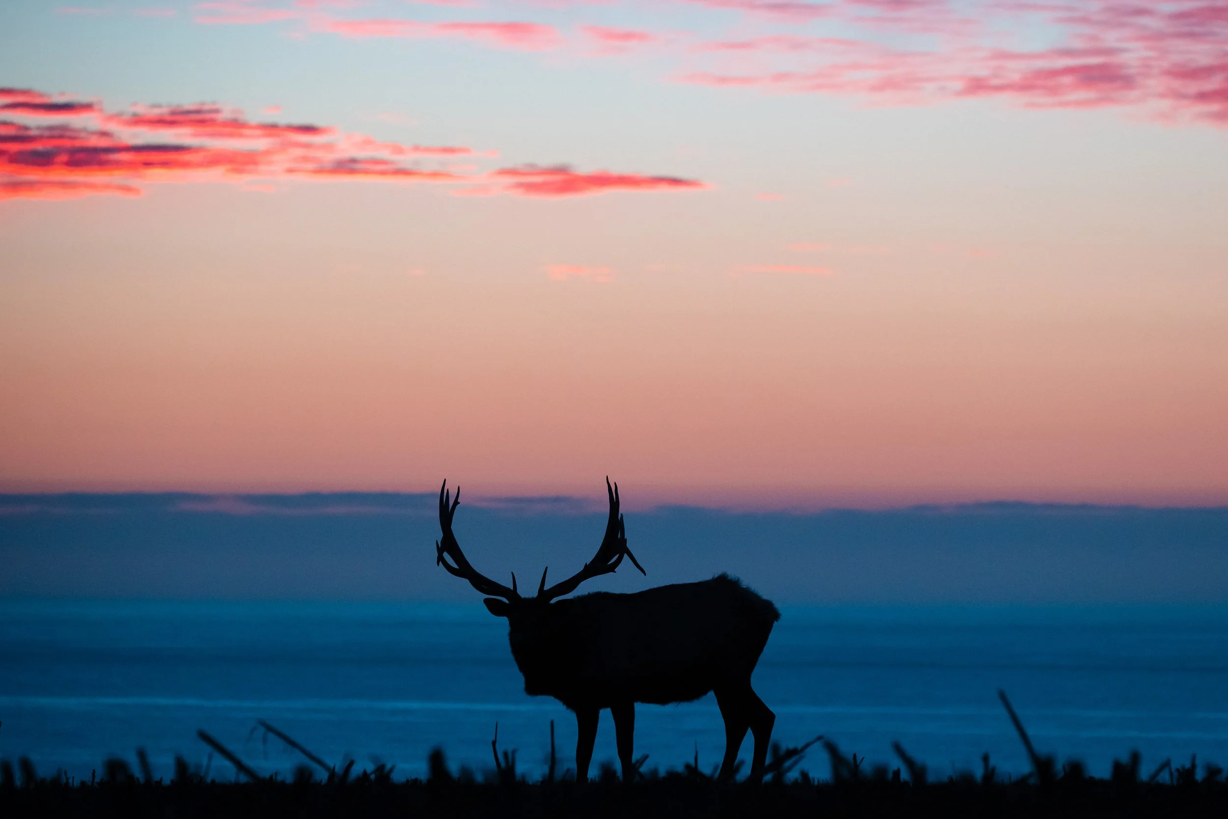 Point Reyes National Seashore-32.jpg