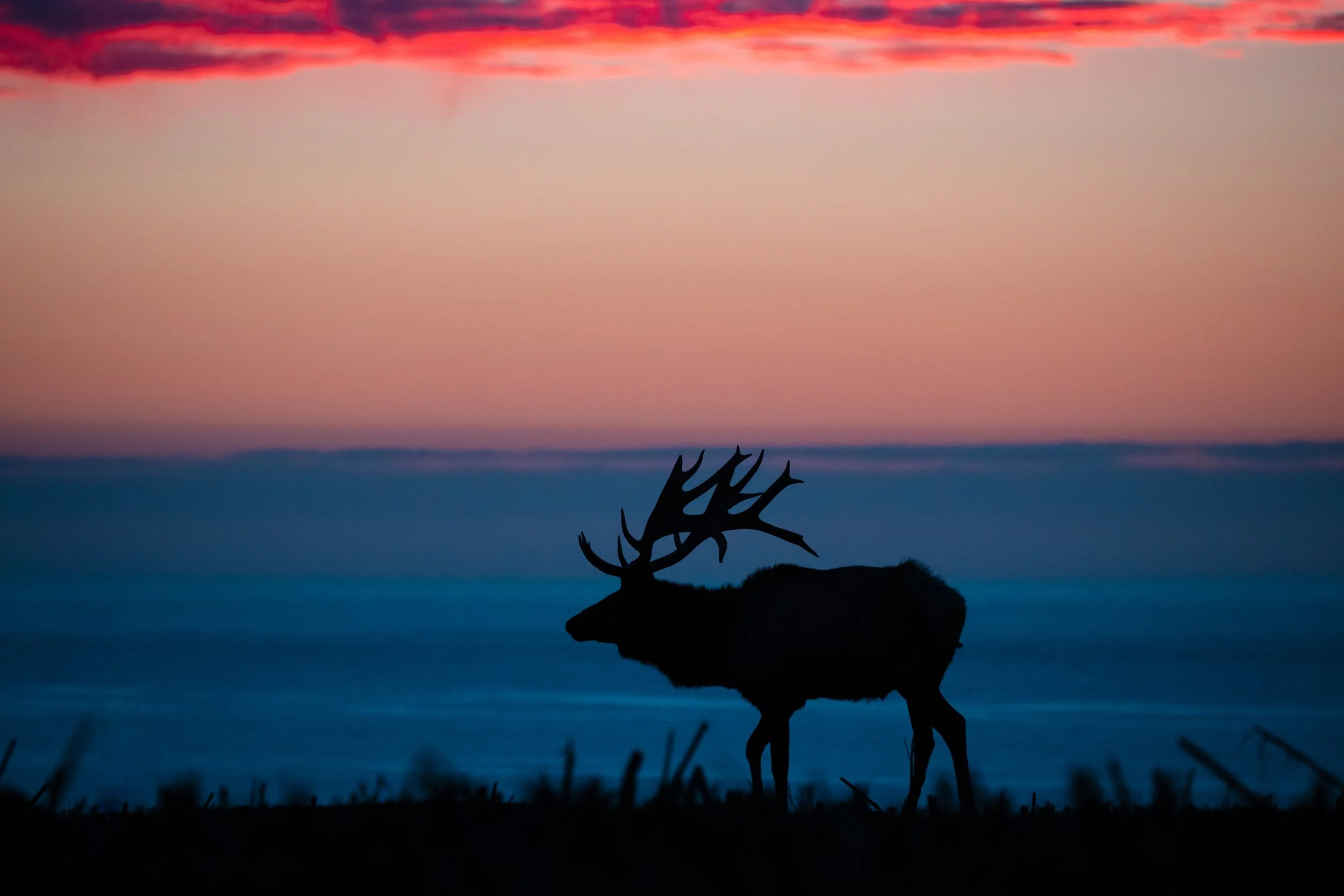 Point Reyes National Seashore-33.jpg