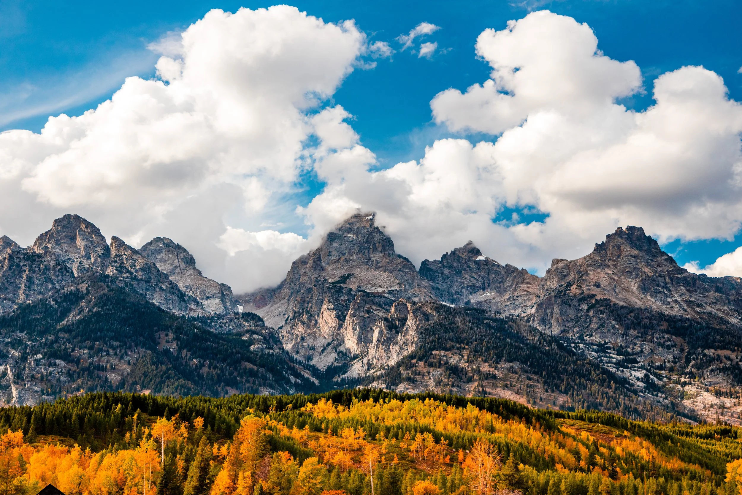 Grand Tetons NP-15.jpg