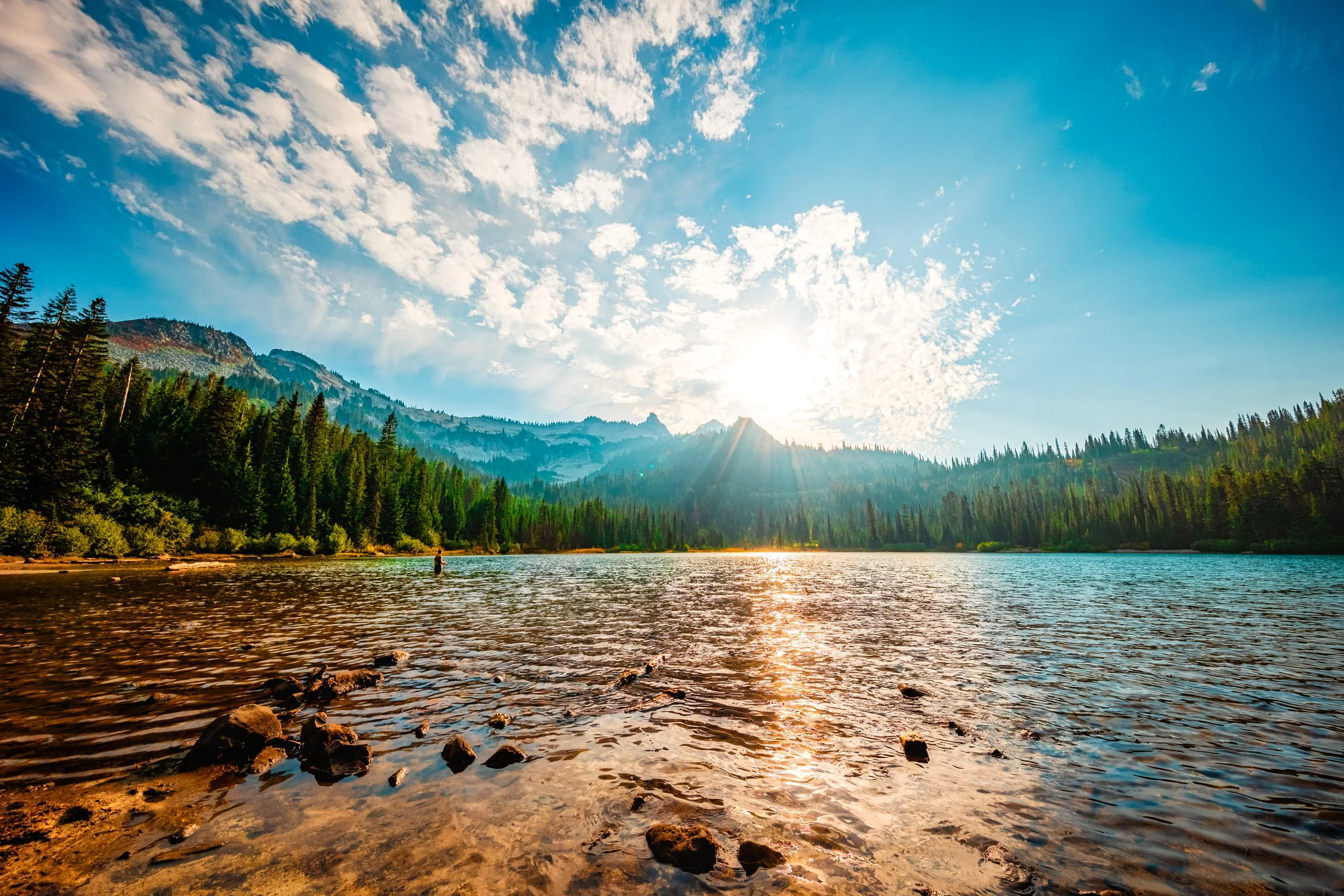 Mt. Rainier NP-40.jpg