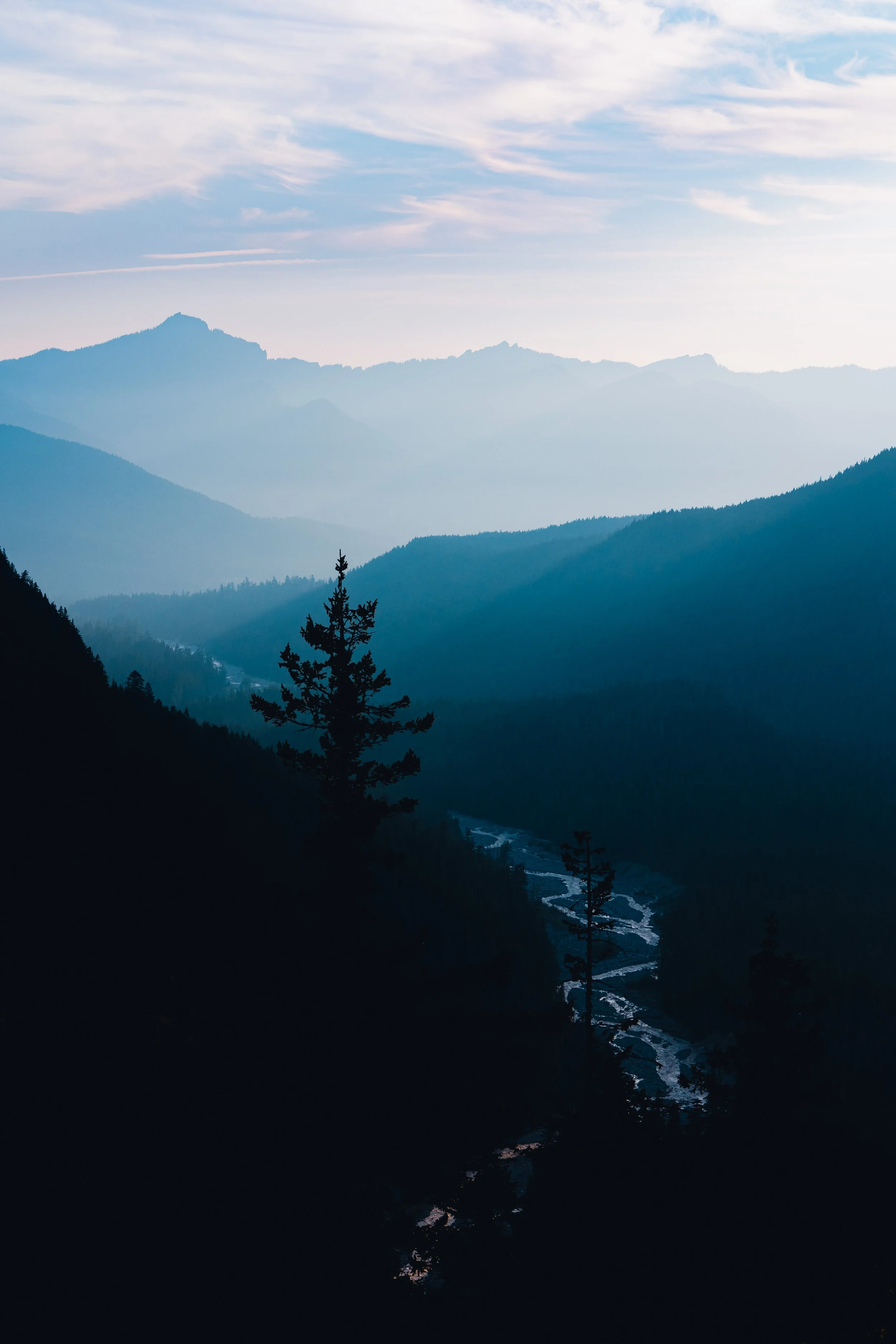 Mt. Rainier NP-44.jpg