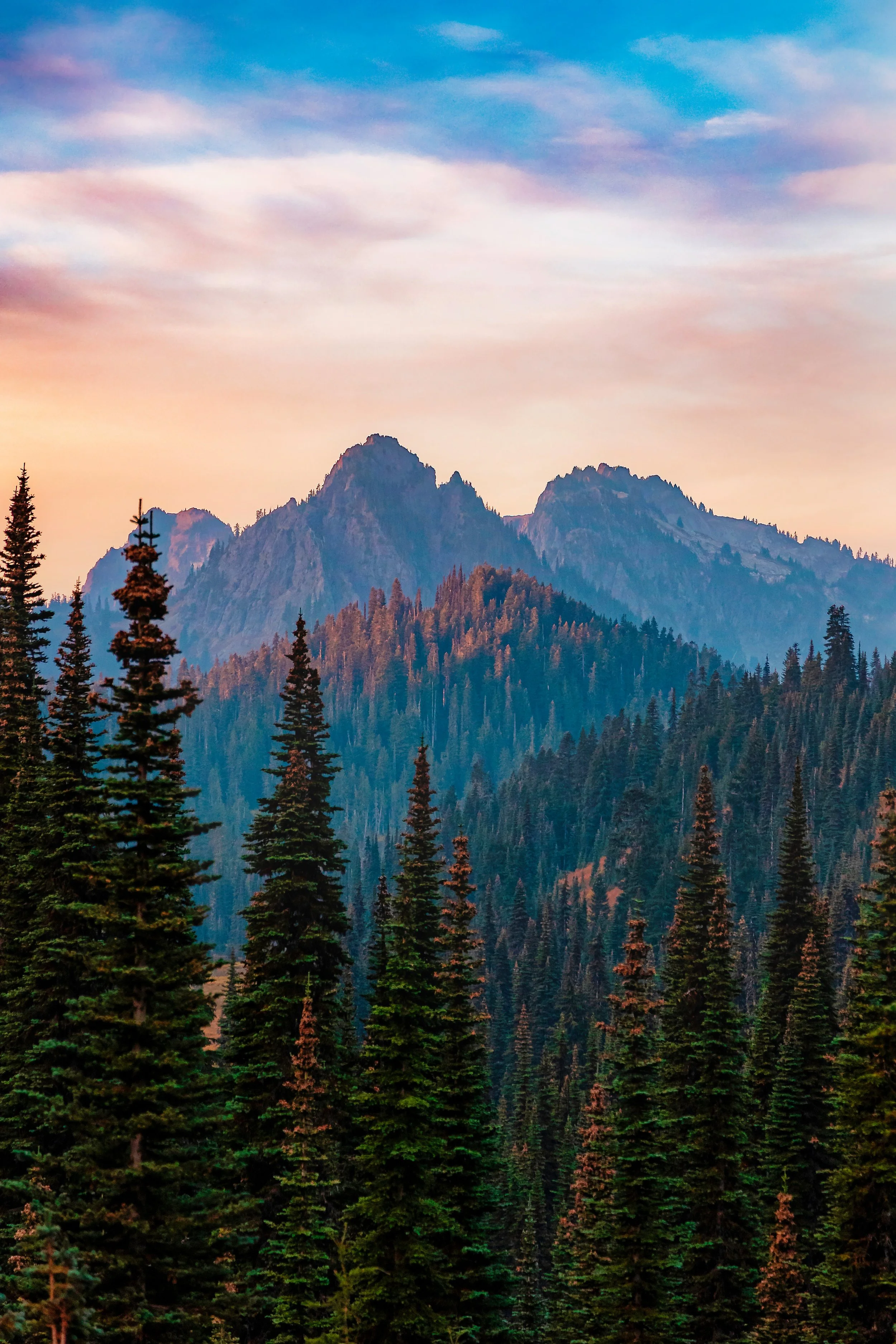 Mt. Rainier NP-46.jpg